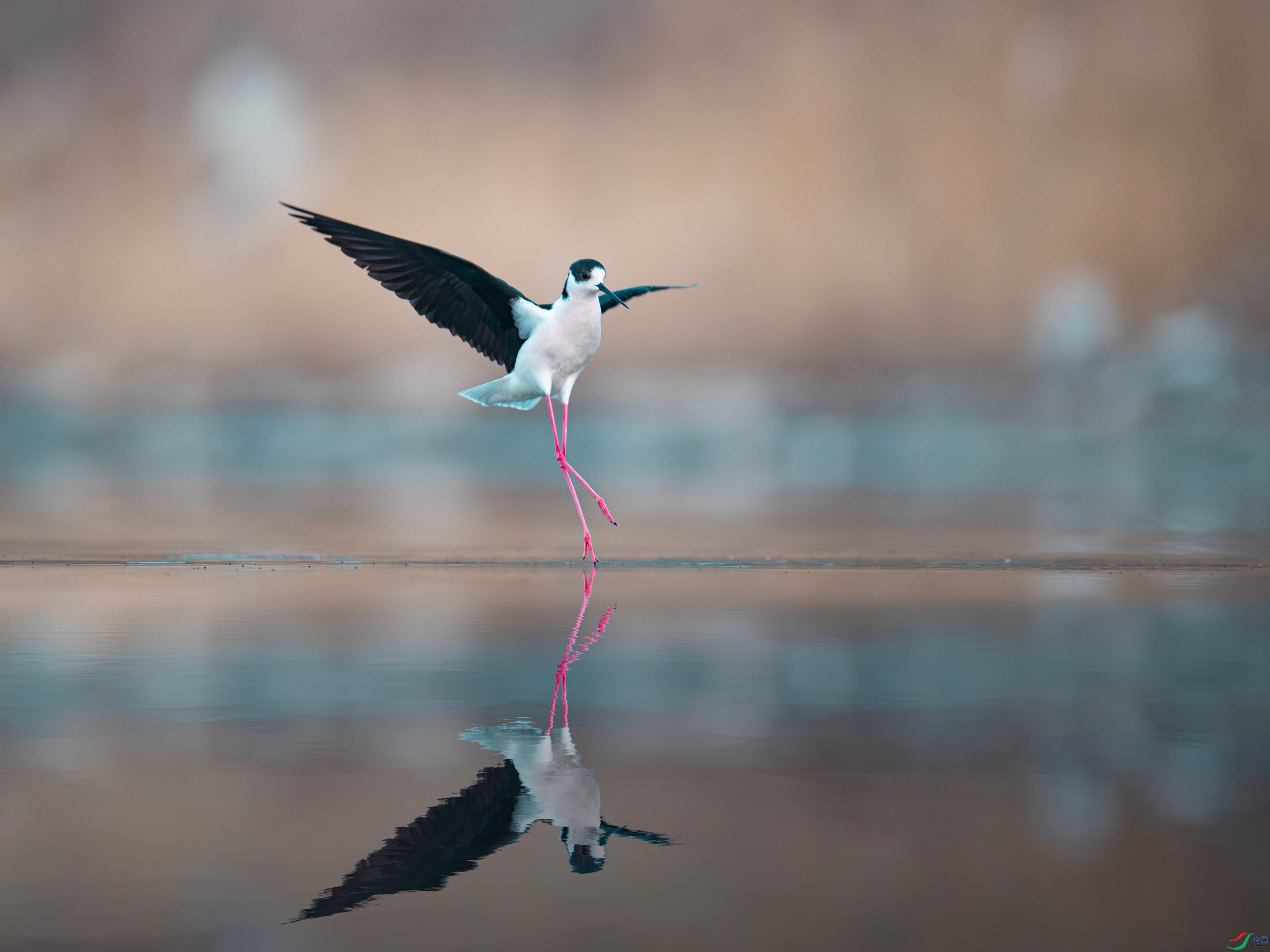 �ڳ᳤���� (12).jpg