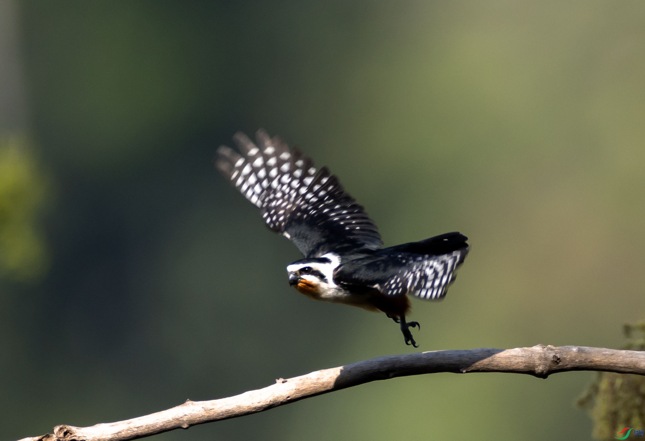 1-xt4L2A8415 ����.jpg