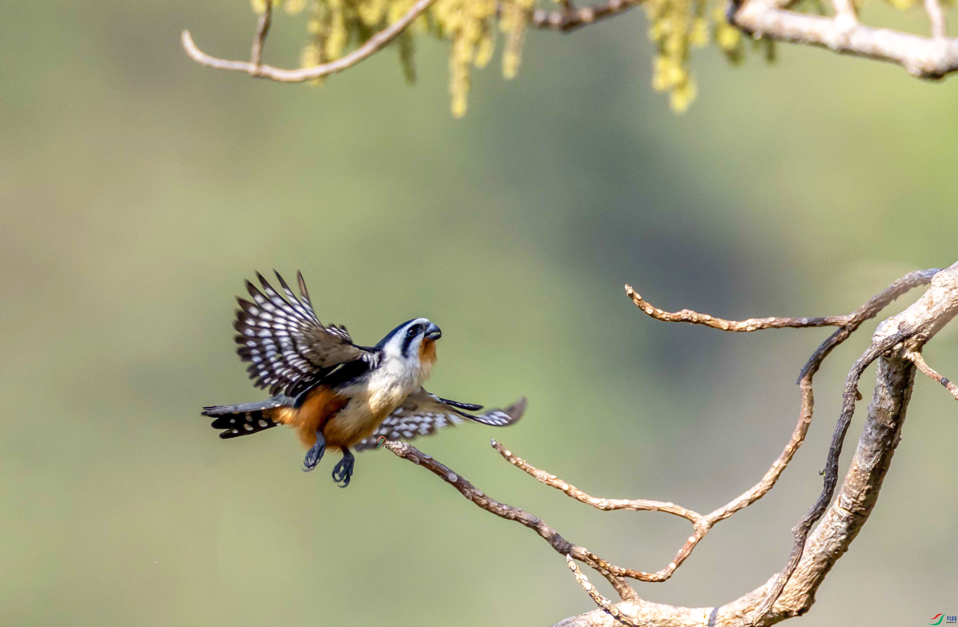 1-xt4L2A8599 ��������������ҳ����.jpg