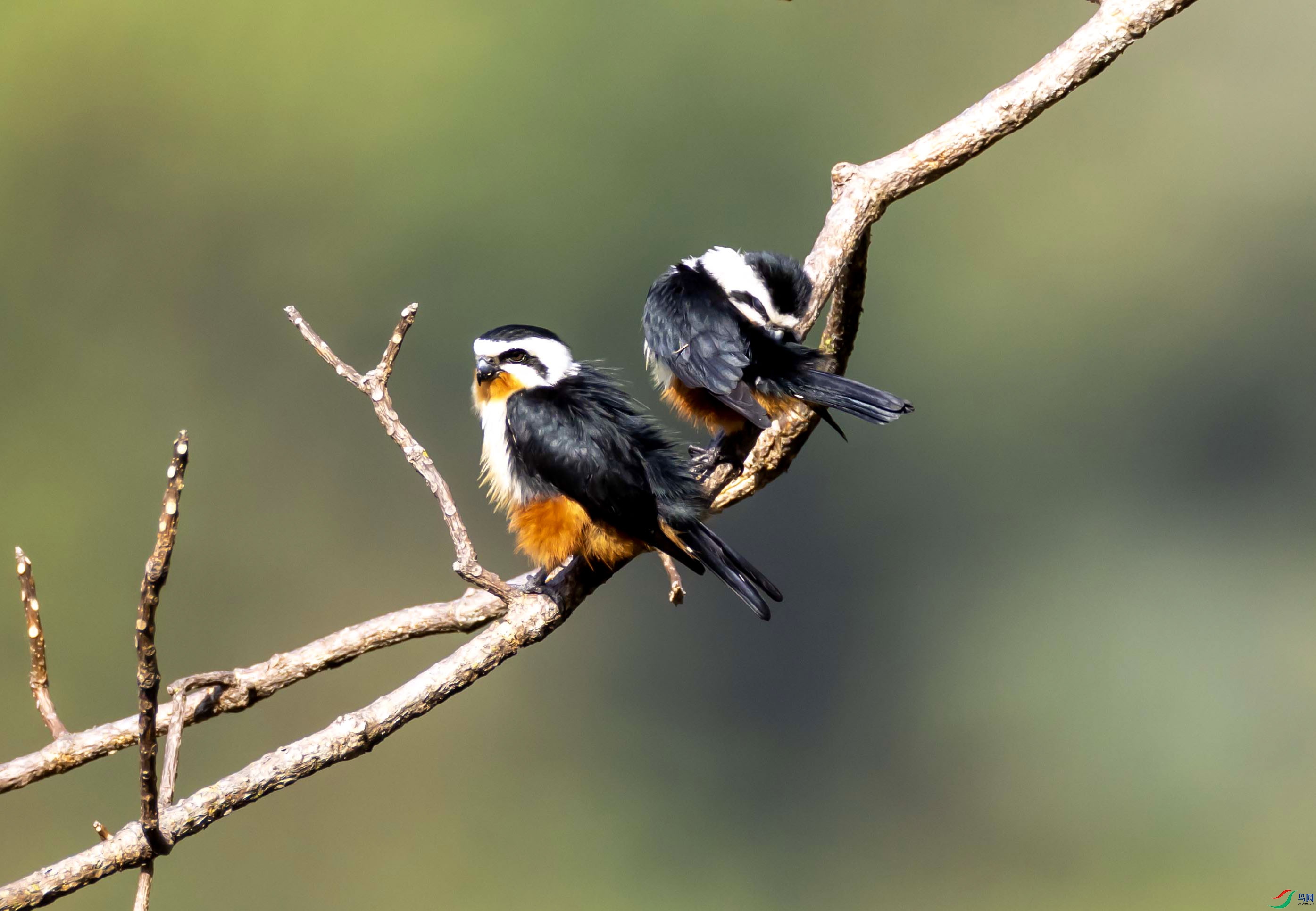 1-xt4L2A8520 ���� 2.jpg