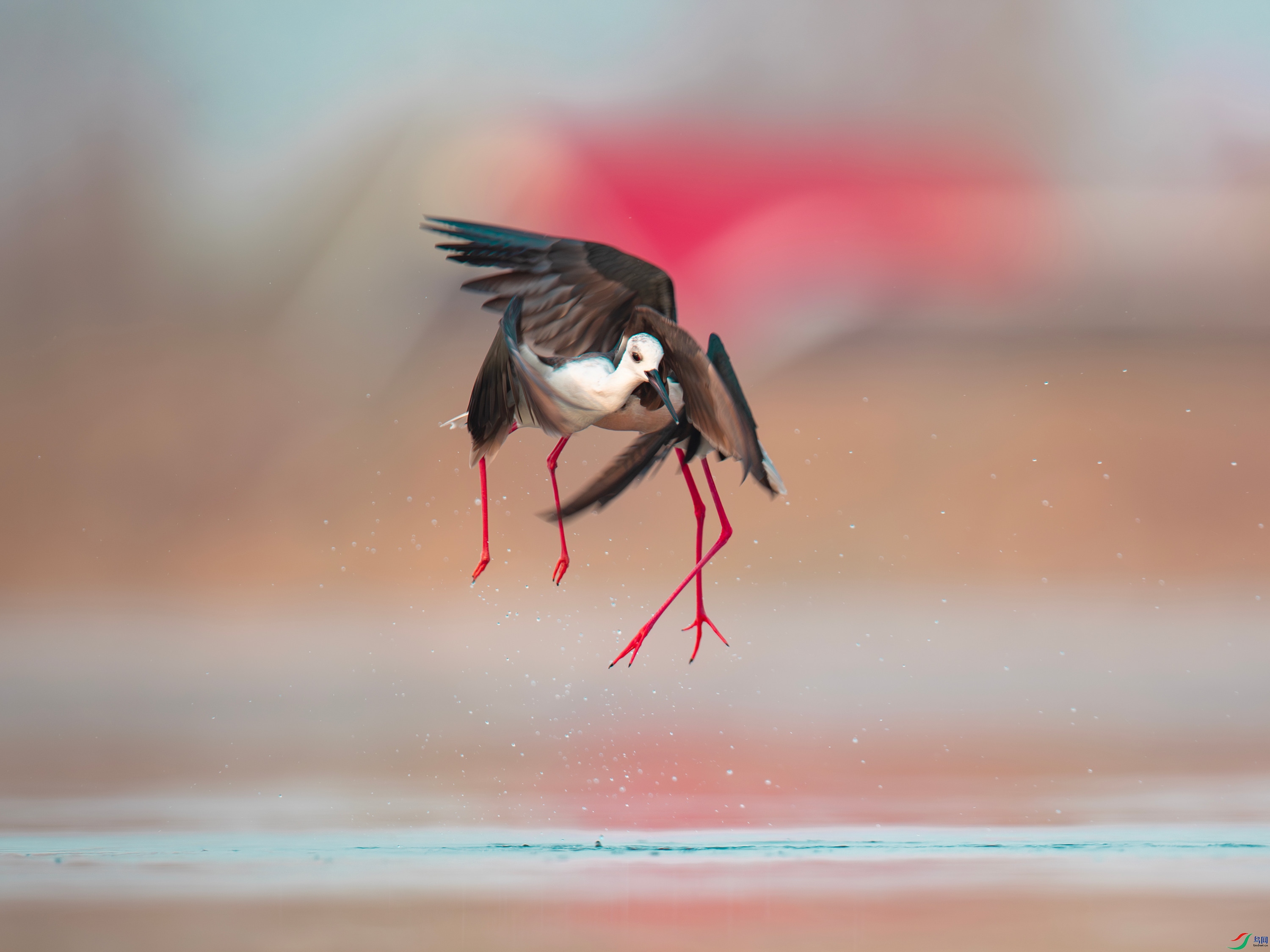 �ڳ᳤���� (17).jpg