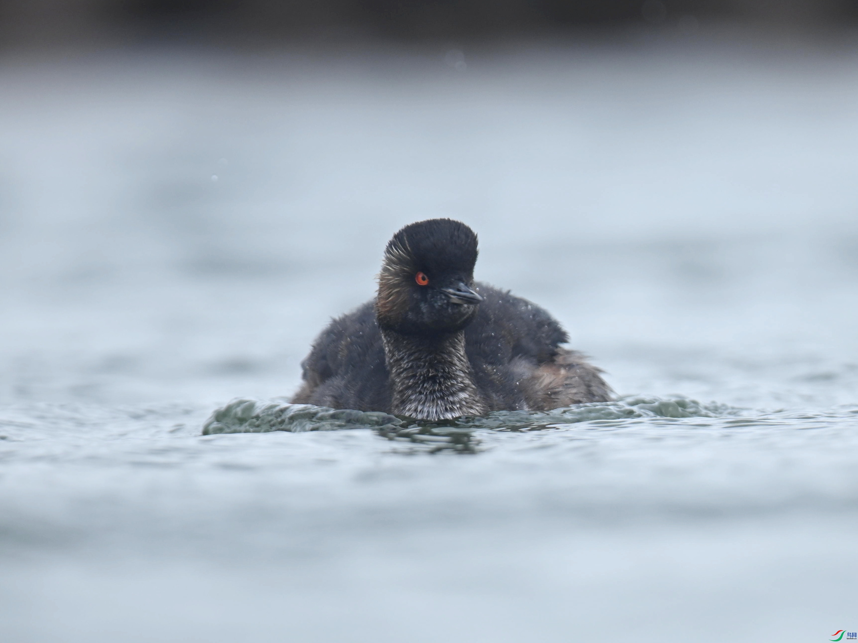 �ھ�PT (122).jpg