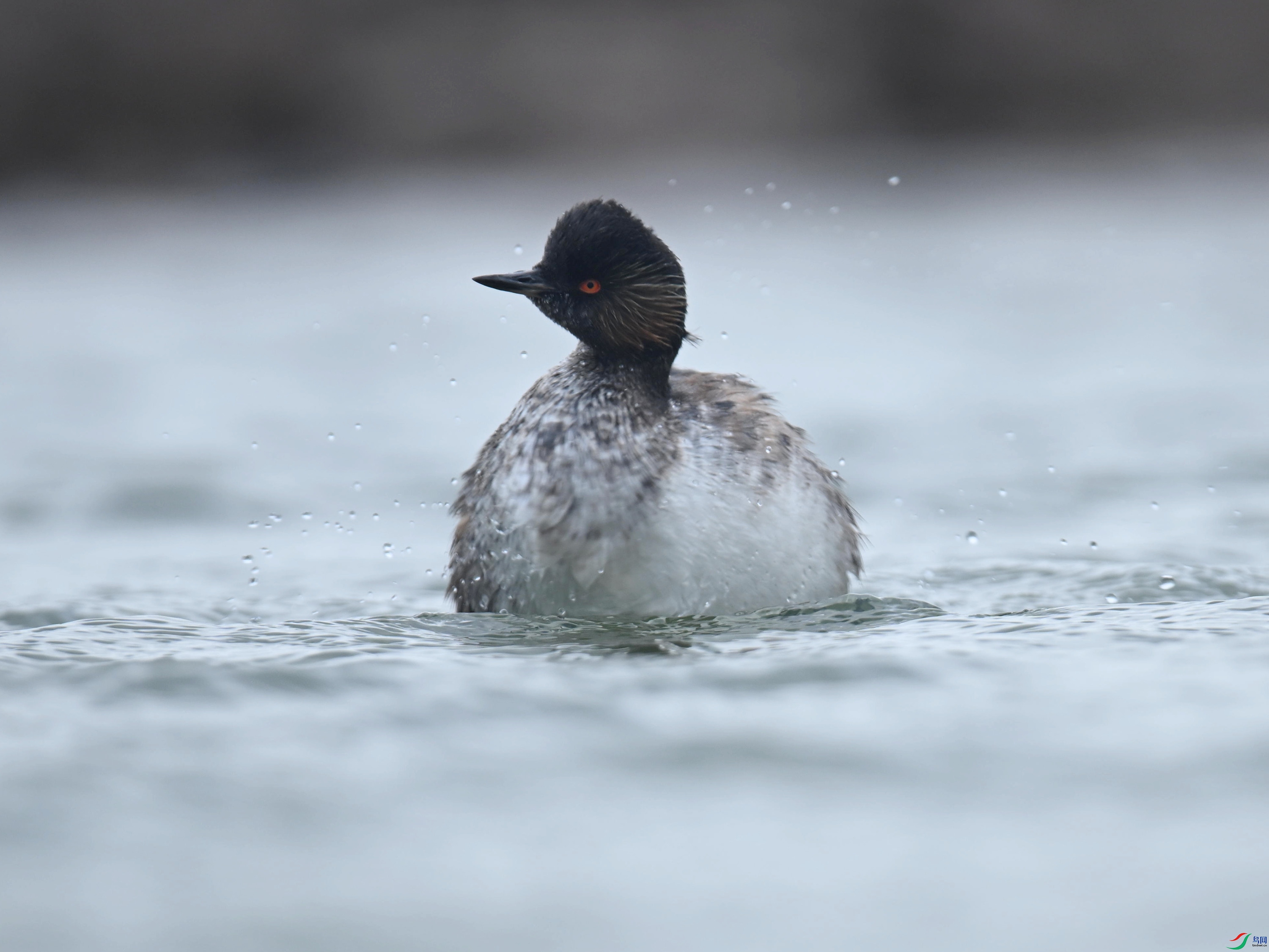 �ھ�PT (135).jpg