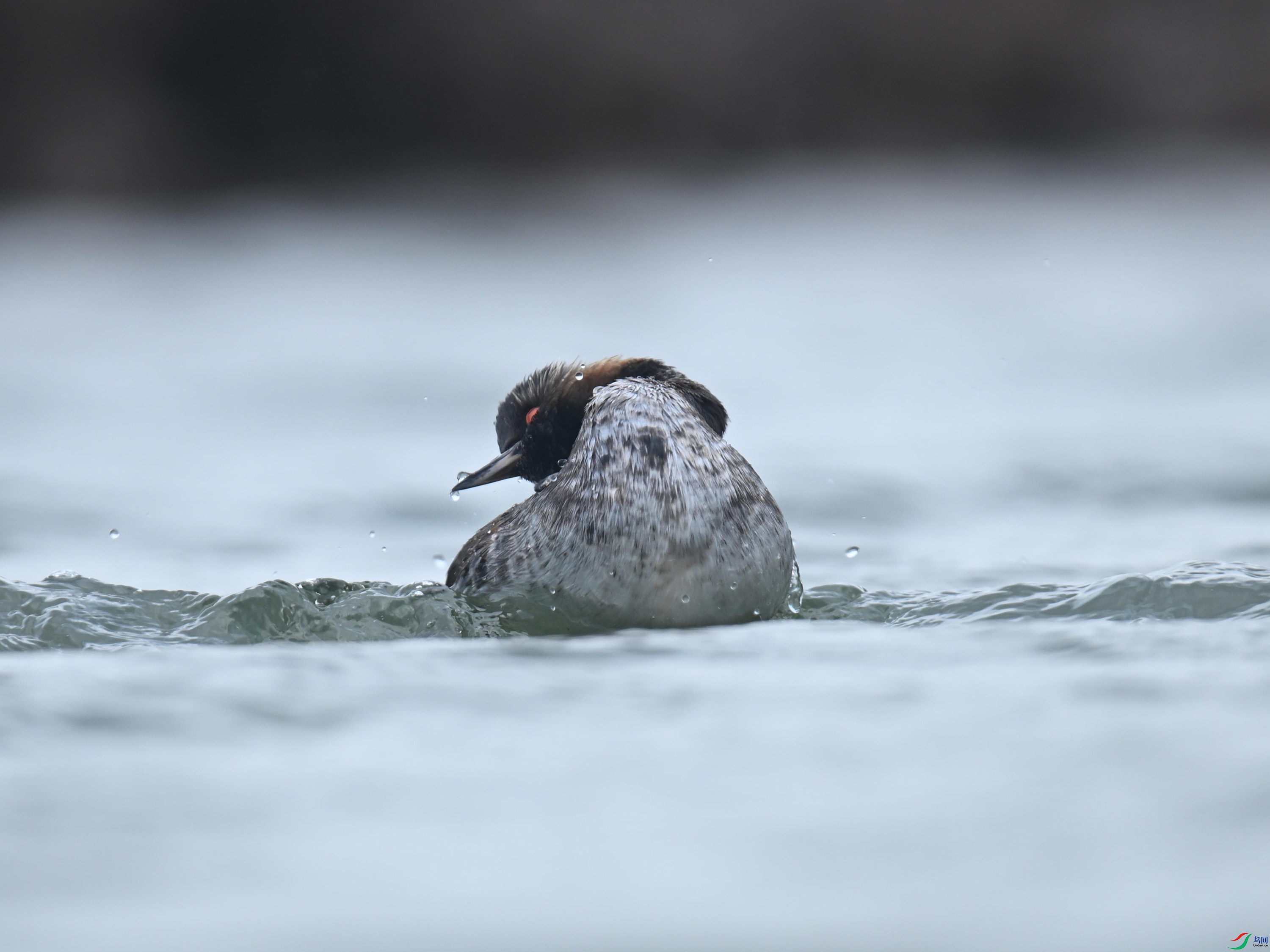 �ھ�PT (126).jpg