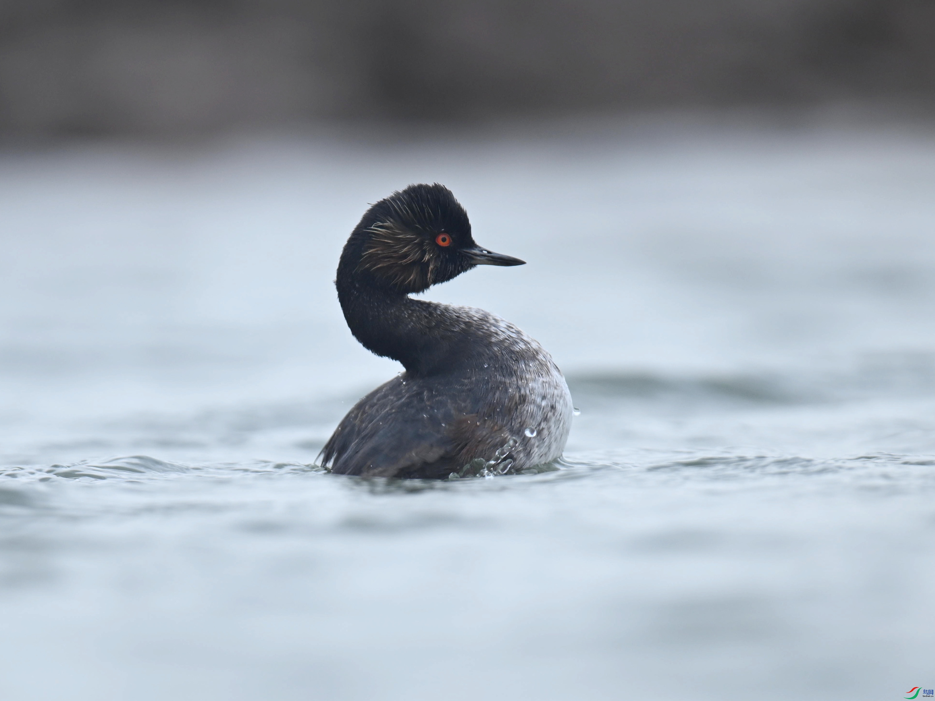 �ھ�PT (129).jpg