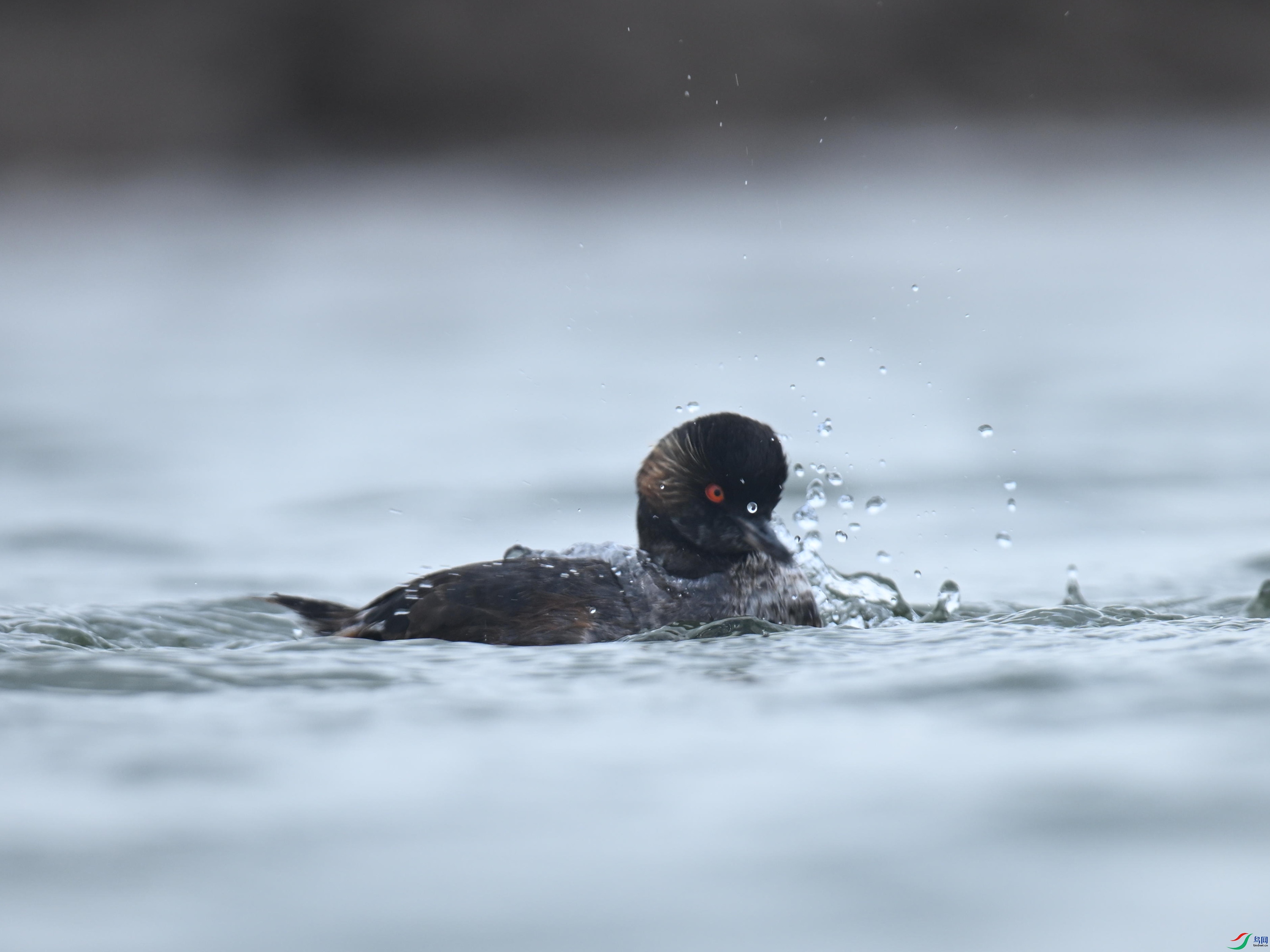 �ھ�PT (130).jpg