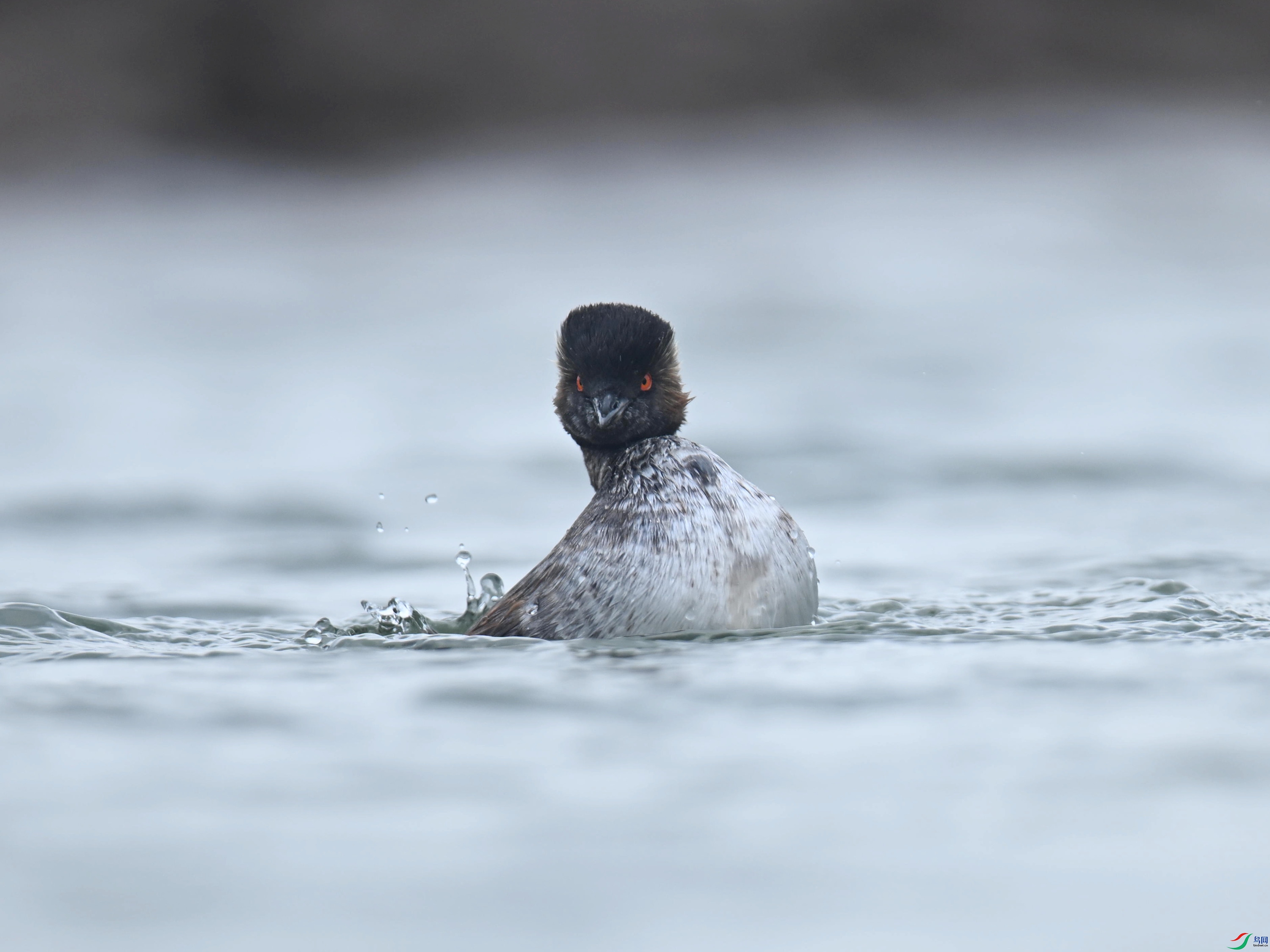 �ھ�PT (132).jpg