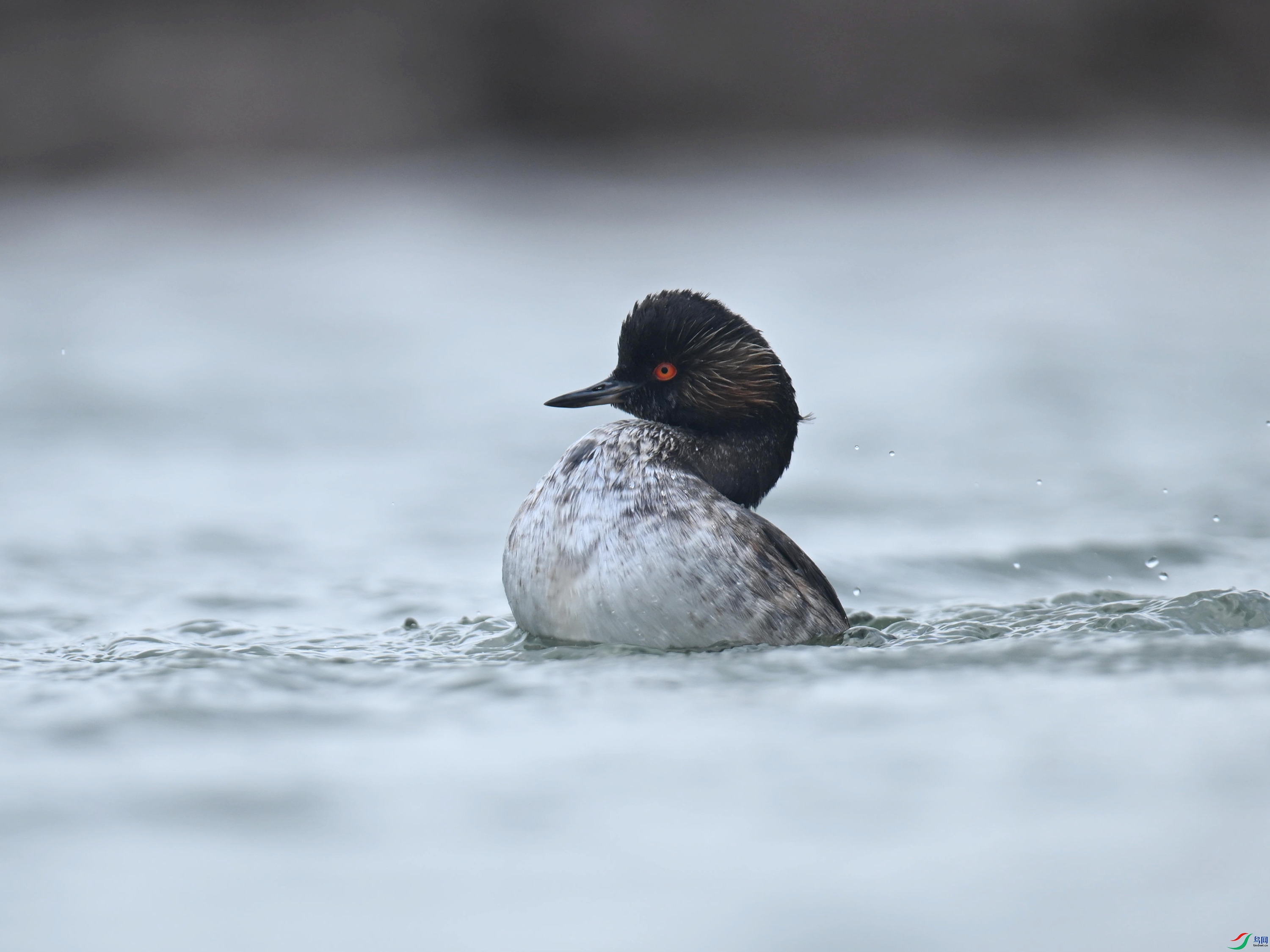 �ھ�PT (133).jpg