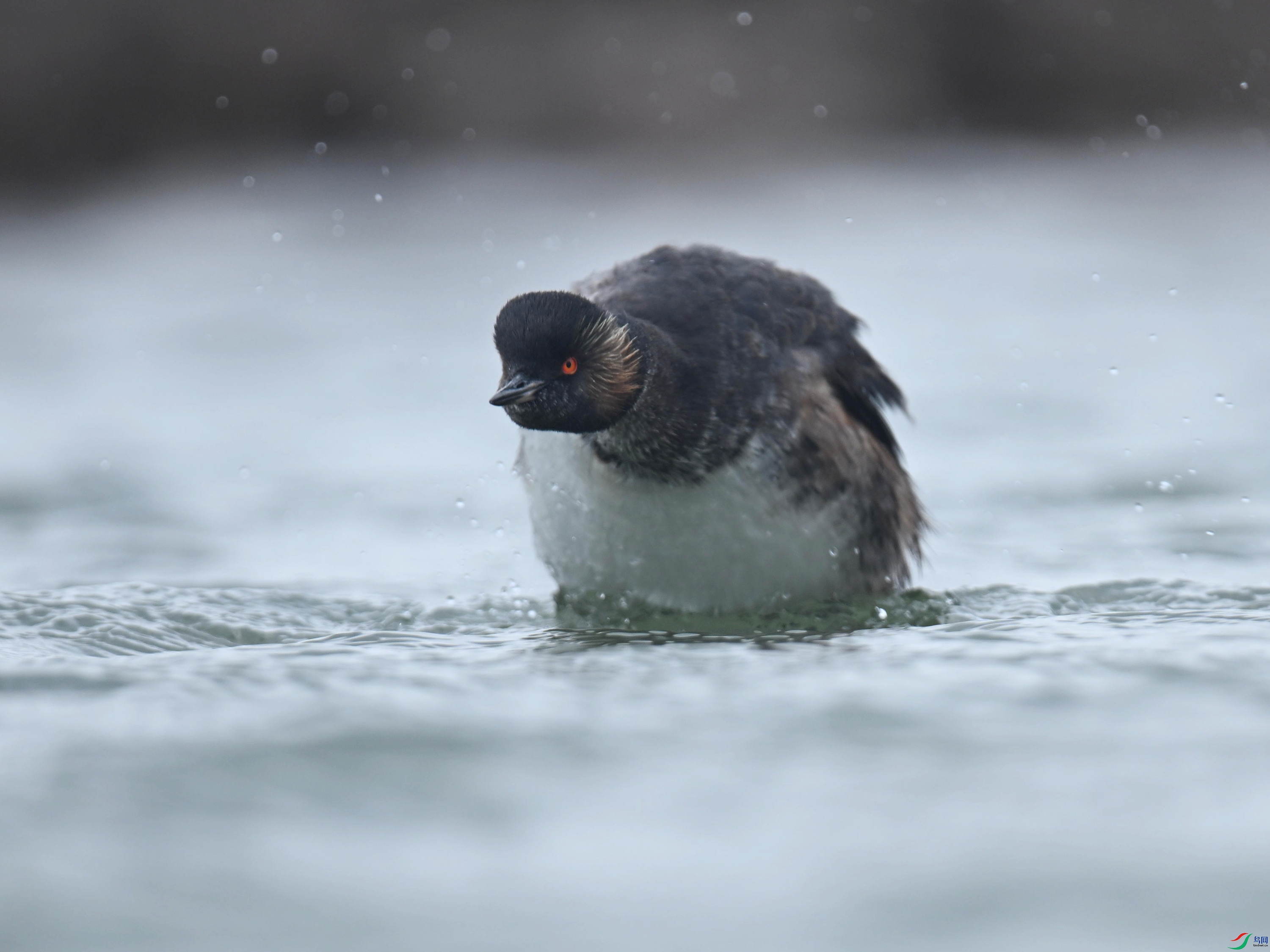 �ھ�PT (140).jpg