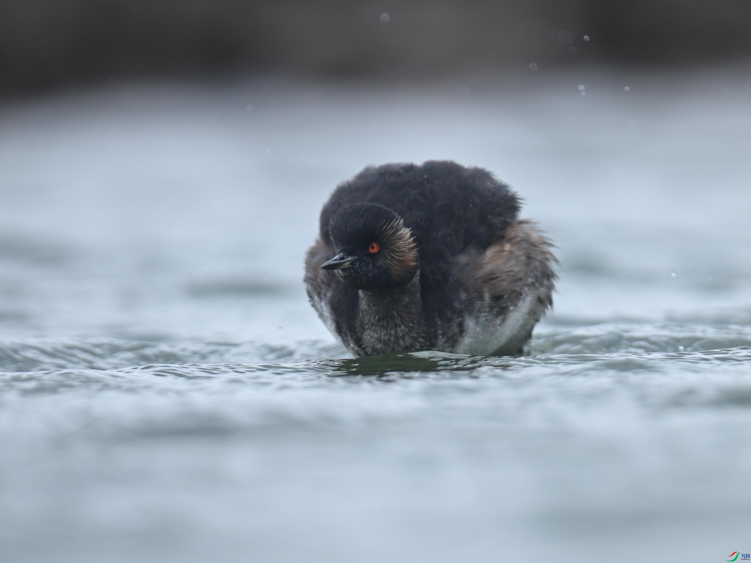 �ھ�PT (143).jpg