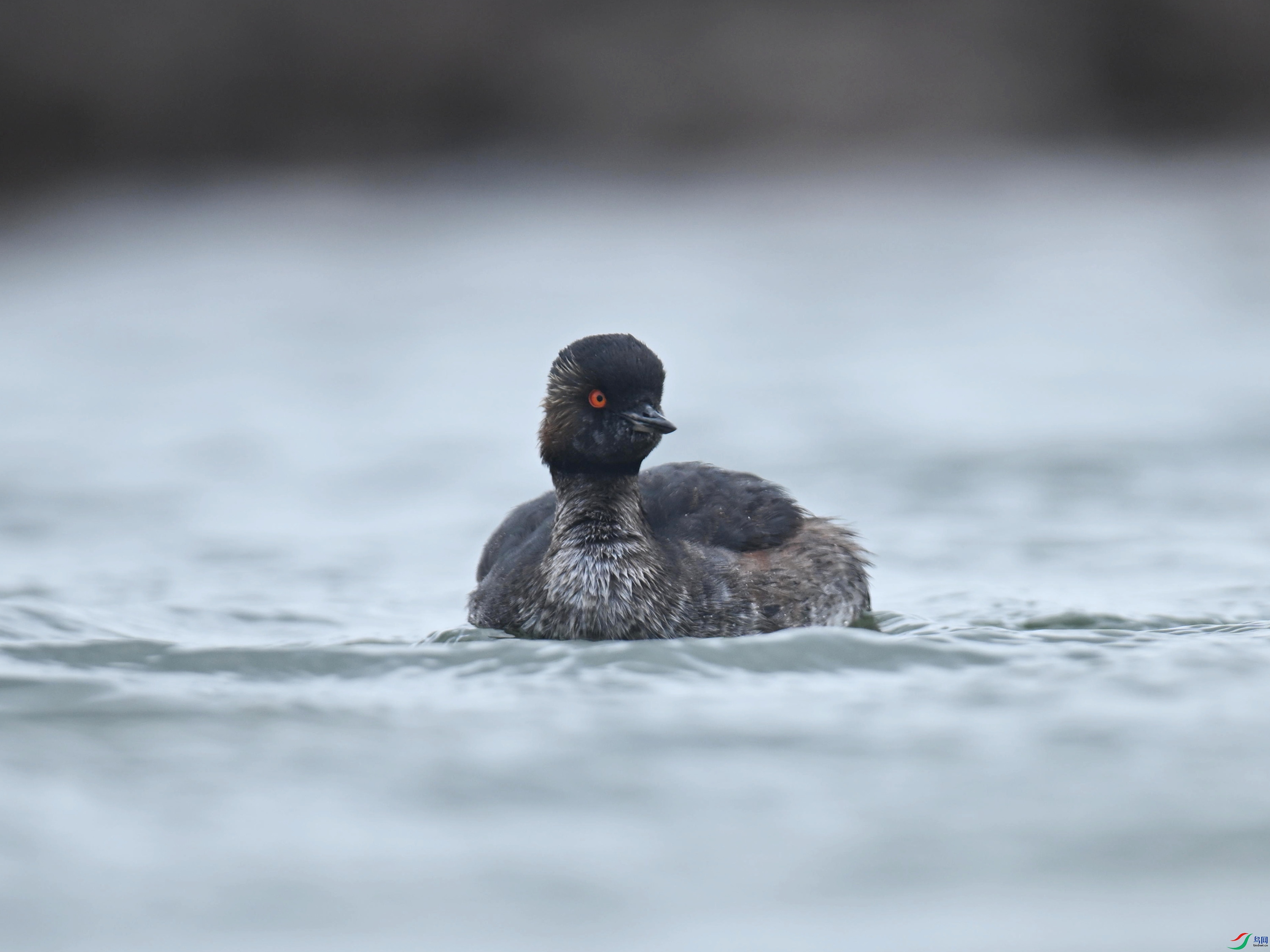 �ھ�PT (145).jpg