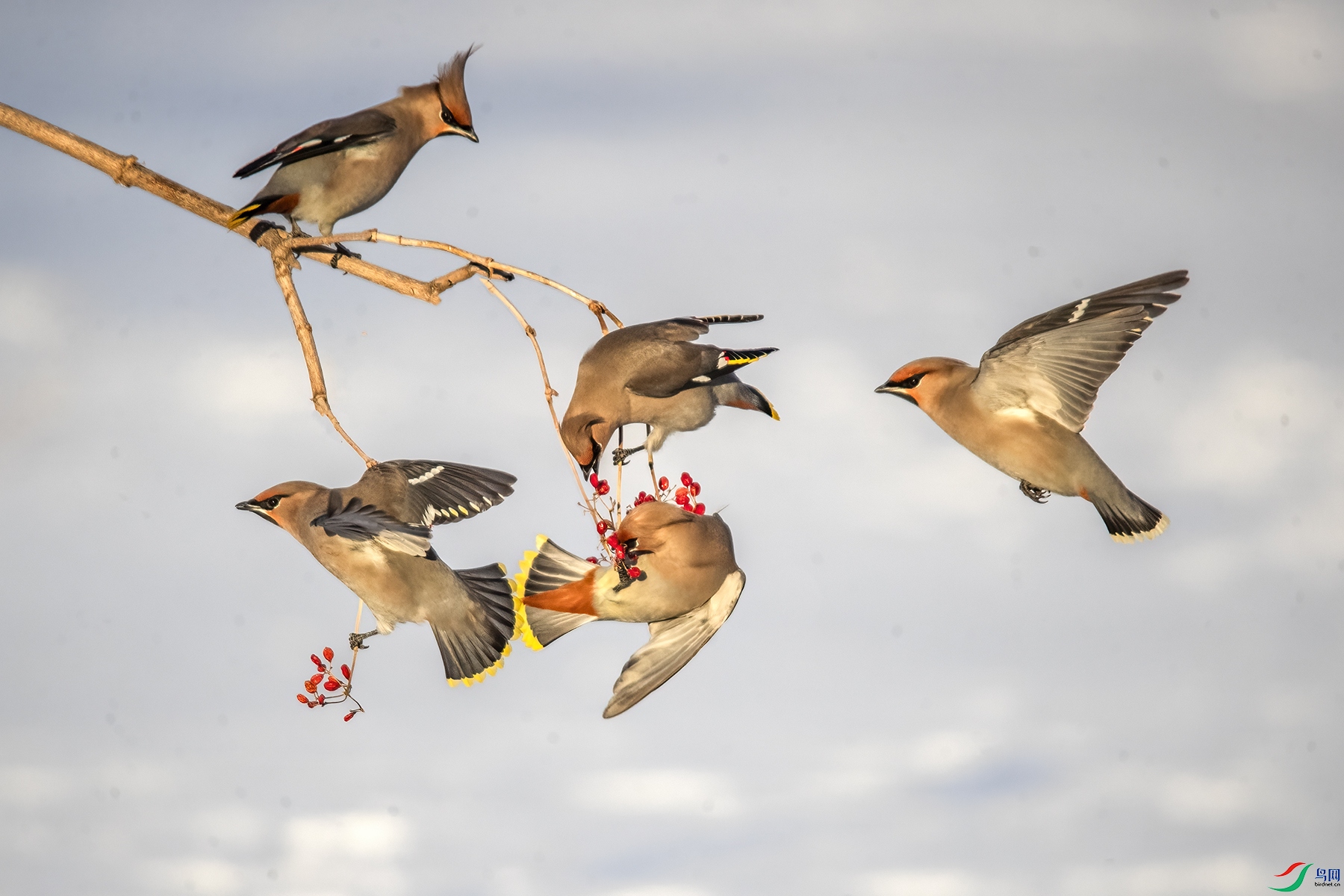 AW4I0211 ����.jpg