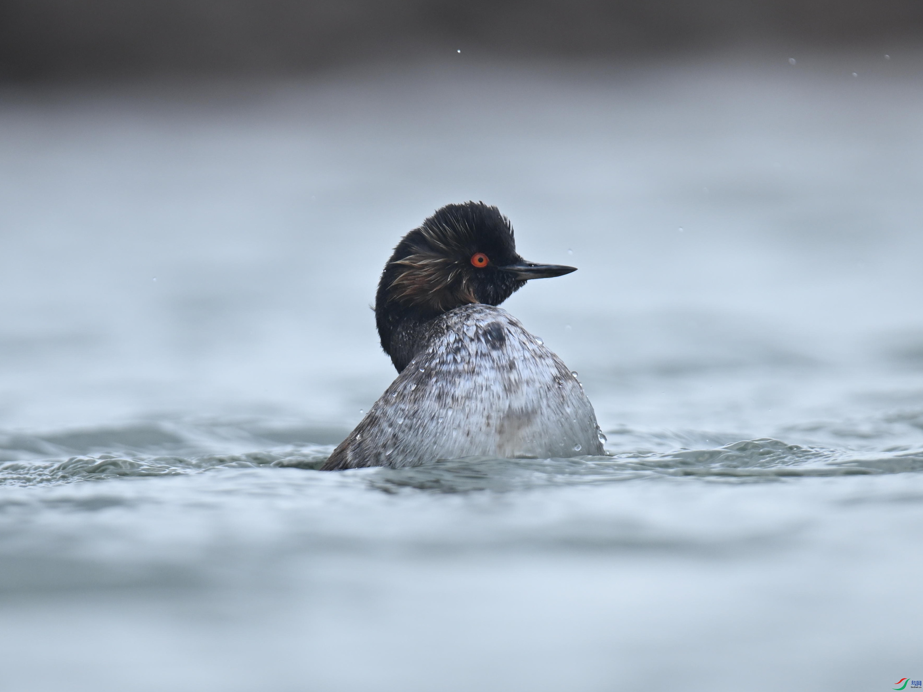 �ھ�PT (146).jpg