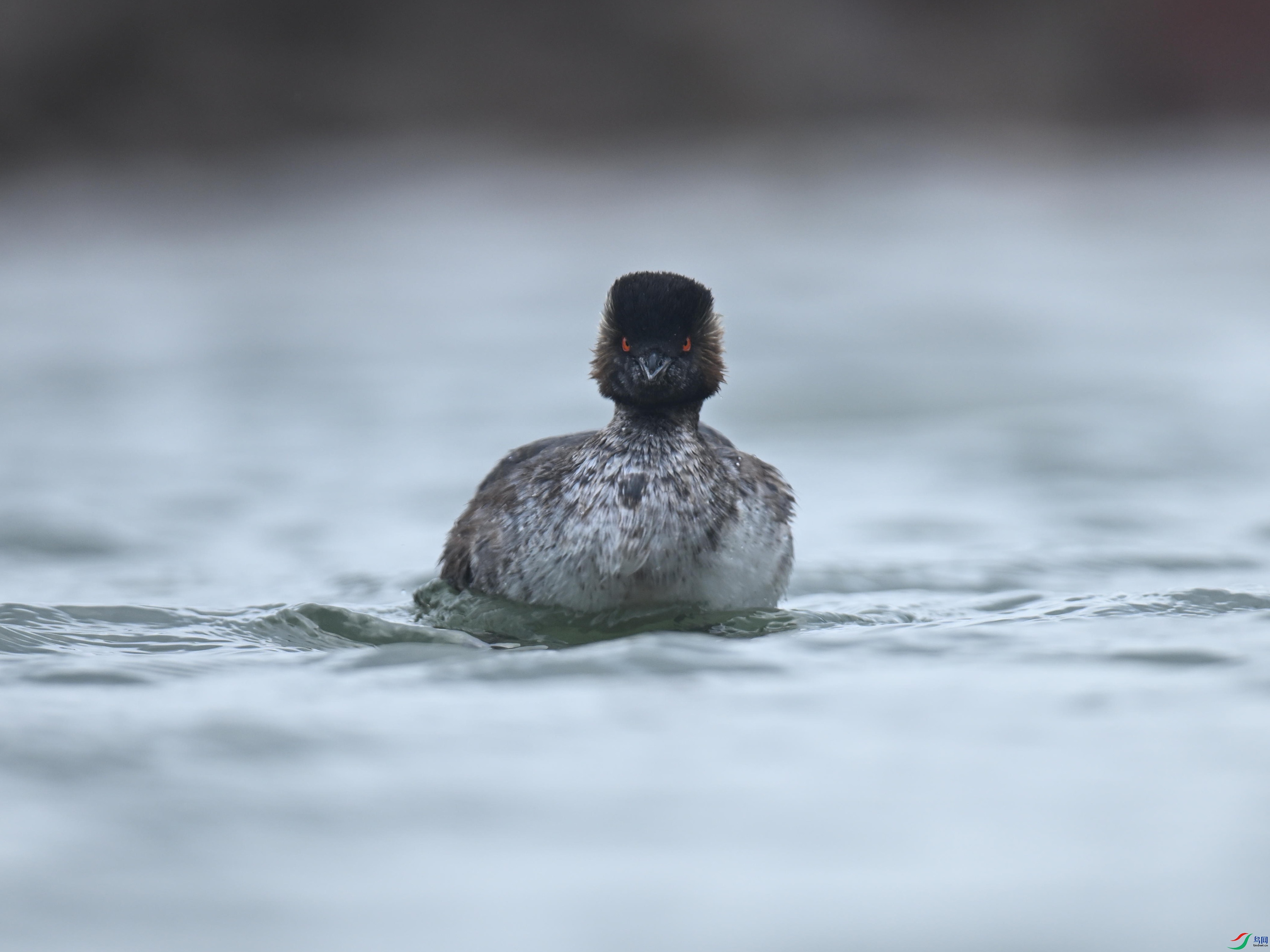 �ھ�PT (147).jpg