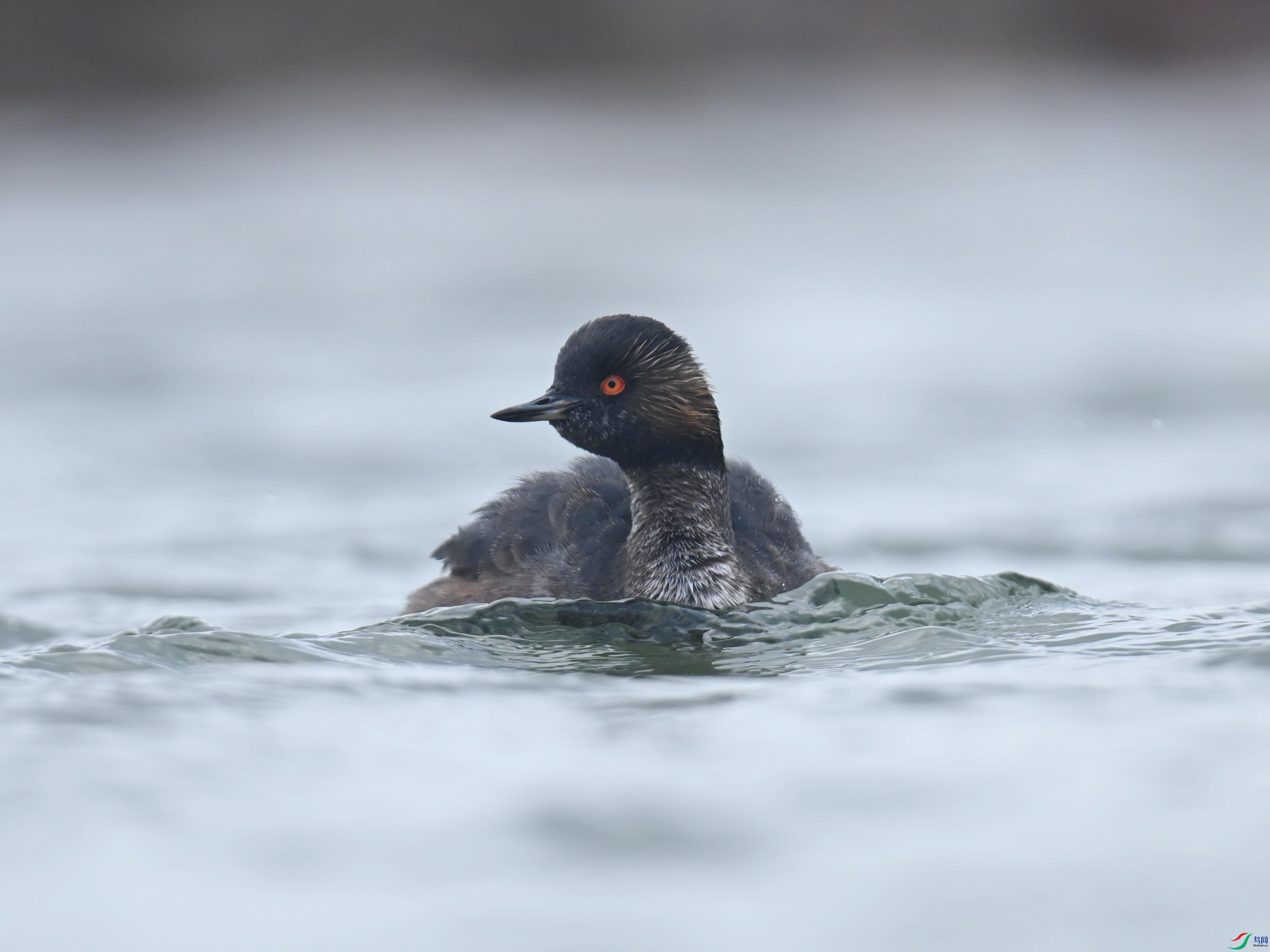 �ھ�PT (152).jpg