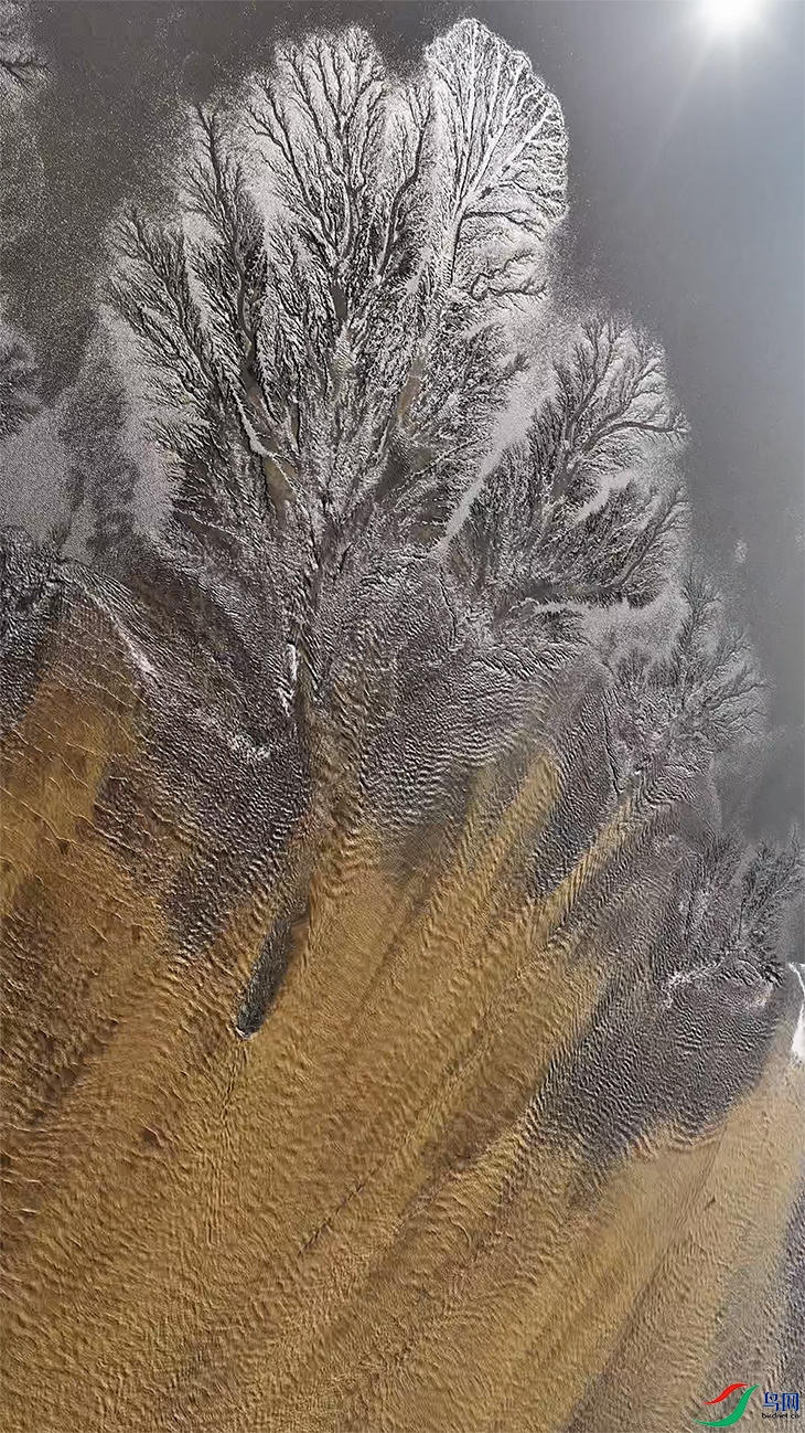 12��21�� (1)-1.jpg