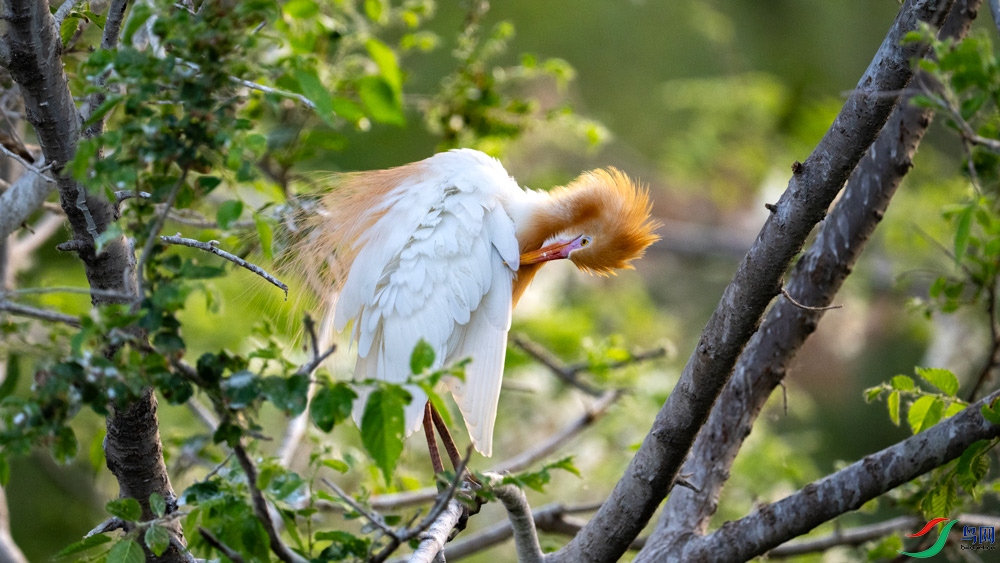 DSC_1102.jpg