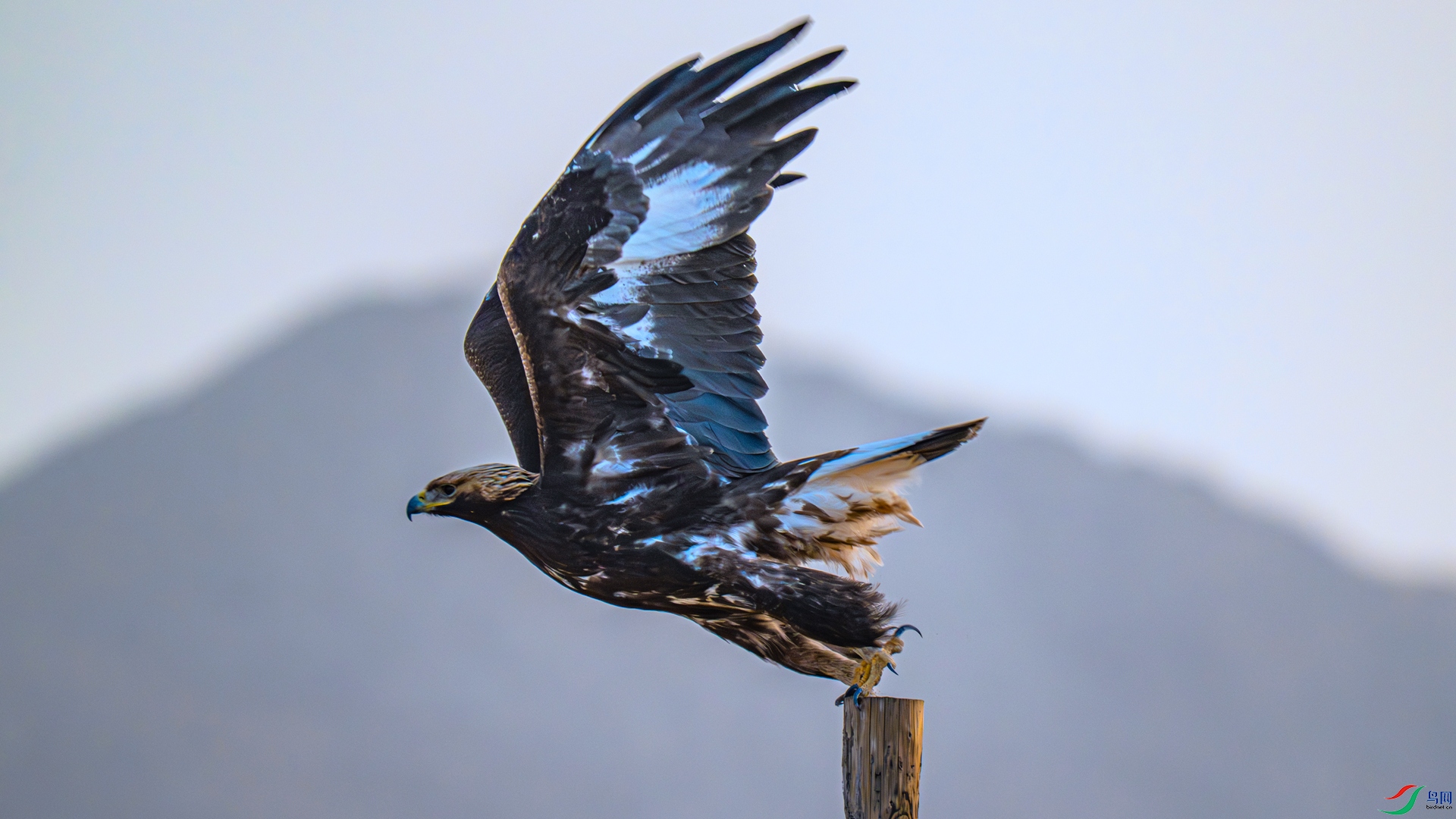 _DSC4549 ����_����.jpg