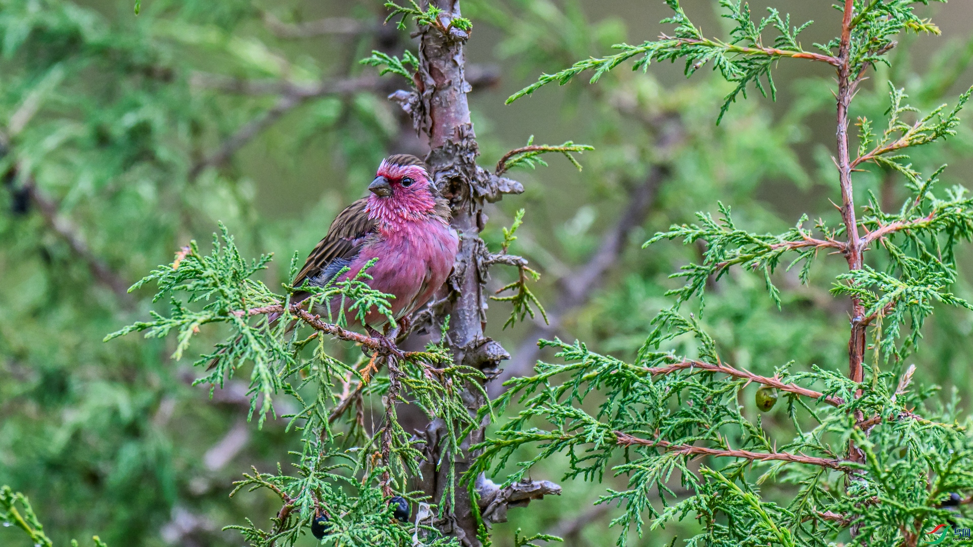 DSC_3138 ����_����.jpg