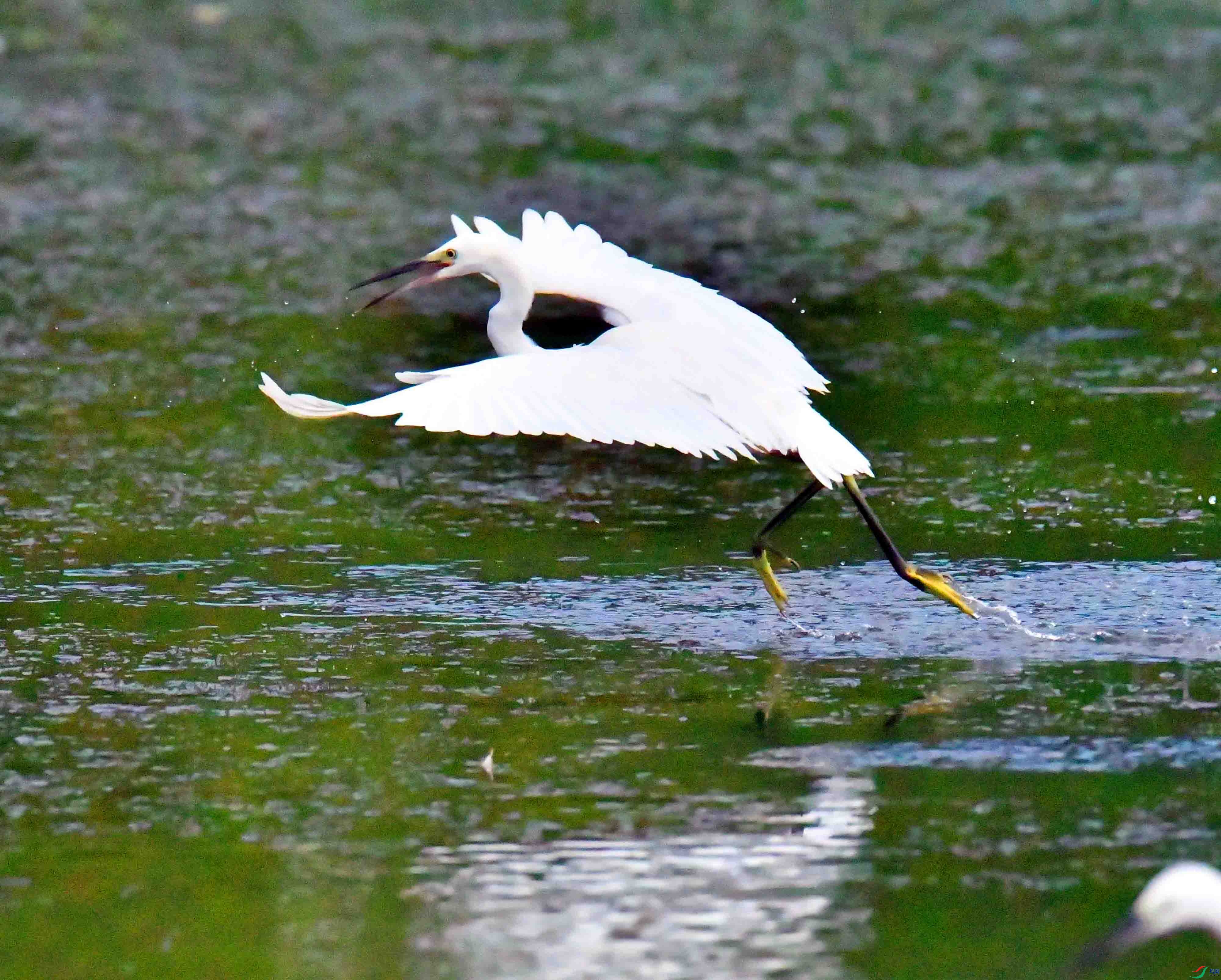 DSC_1090.JPG