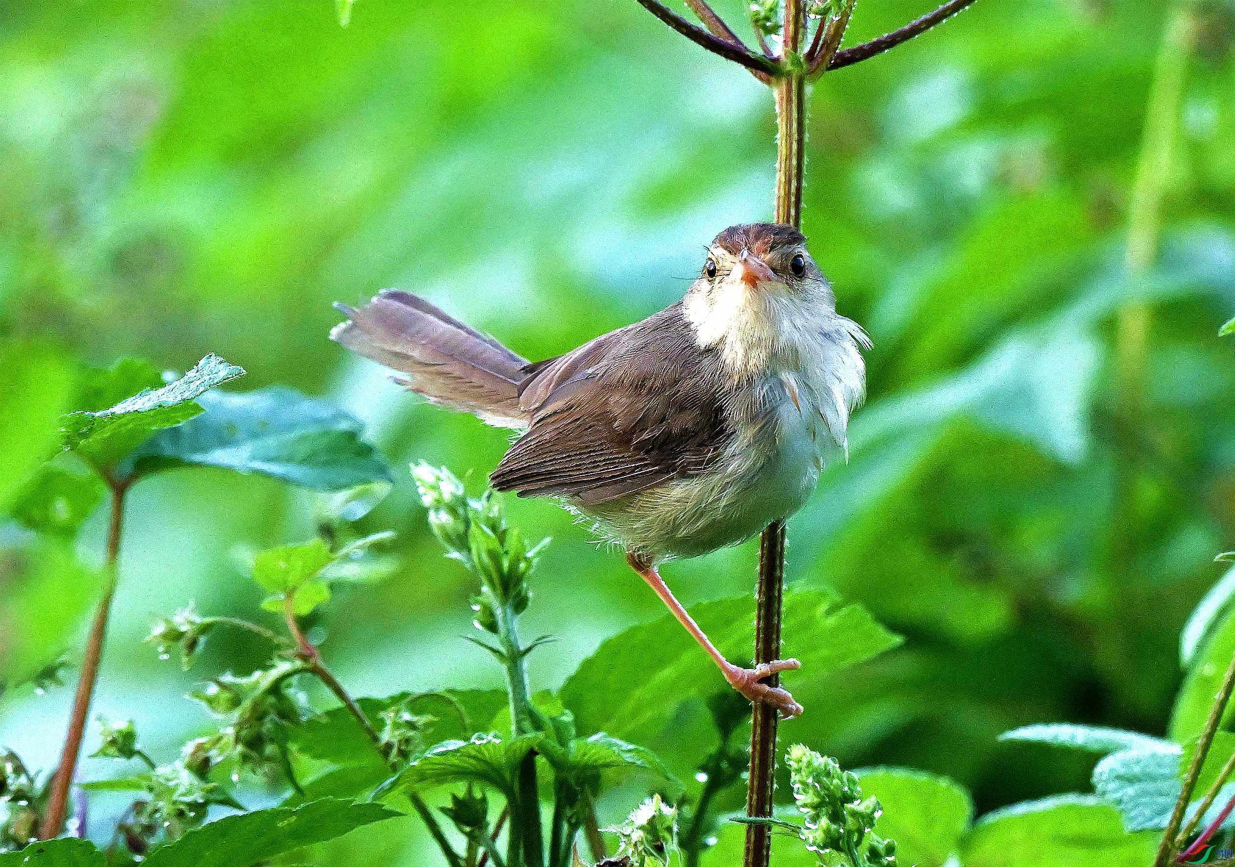 DSC_0390.JPG