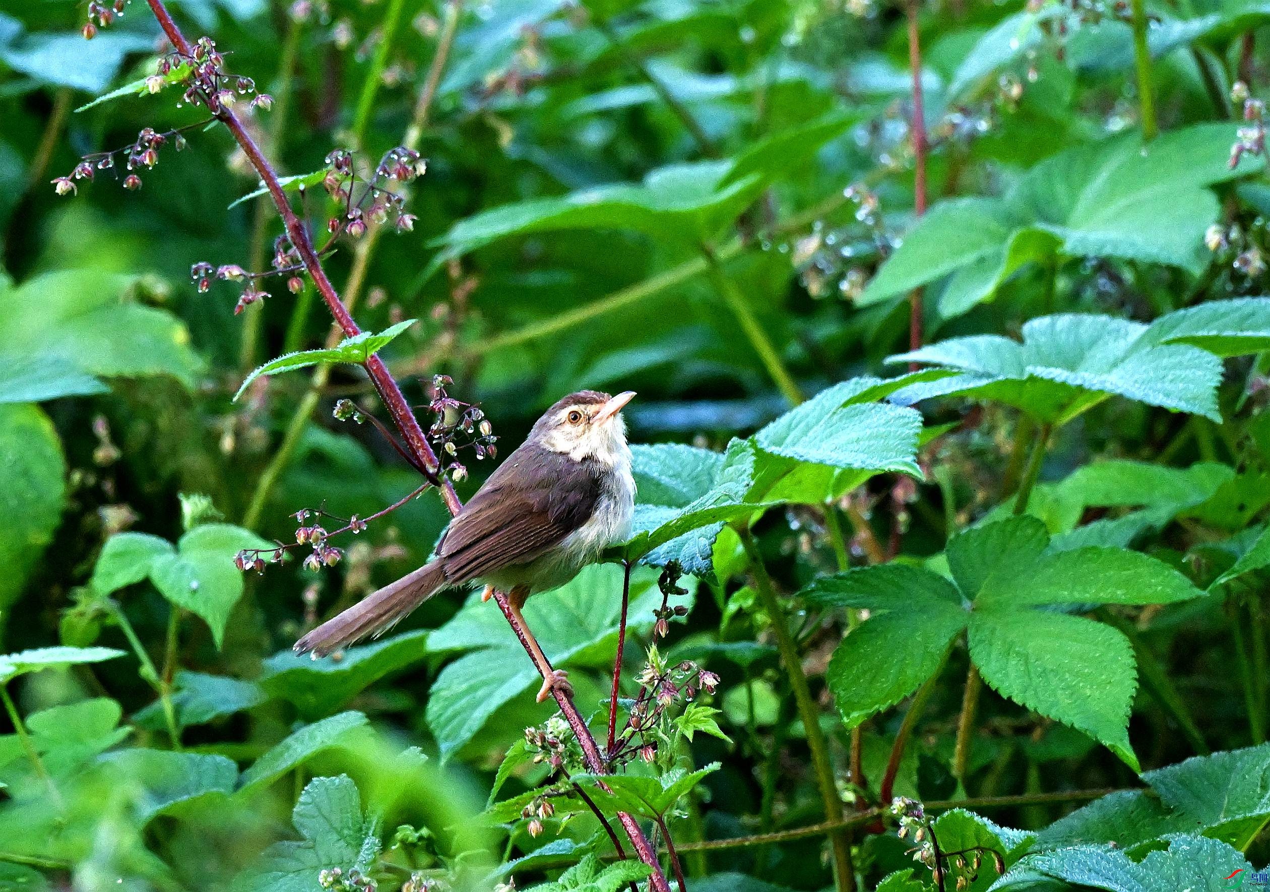 DSC_0280.JPG