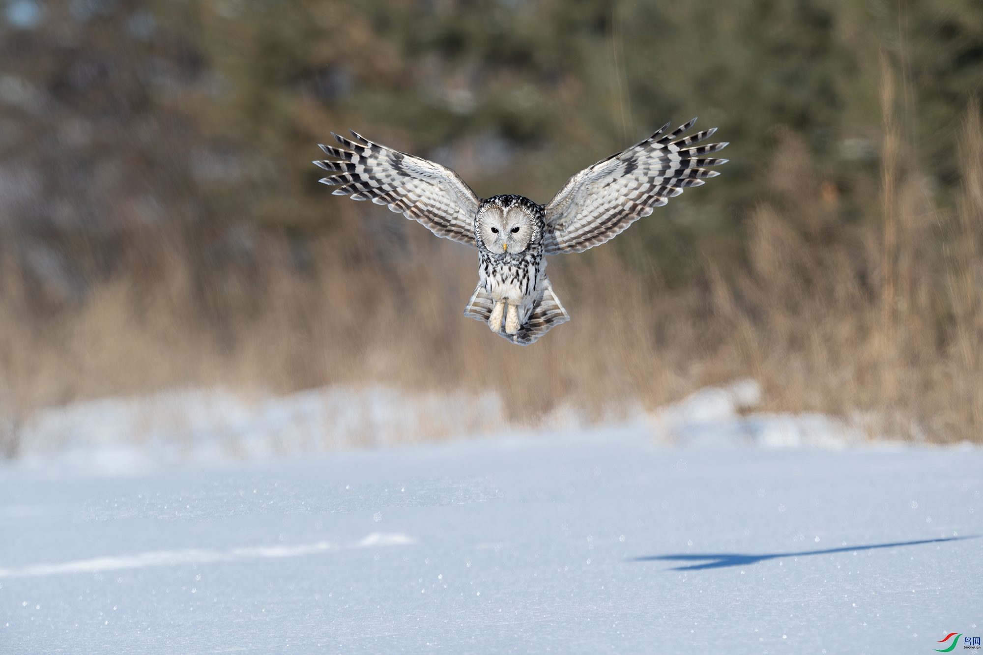 _DSC1893 ����С.jpg