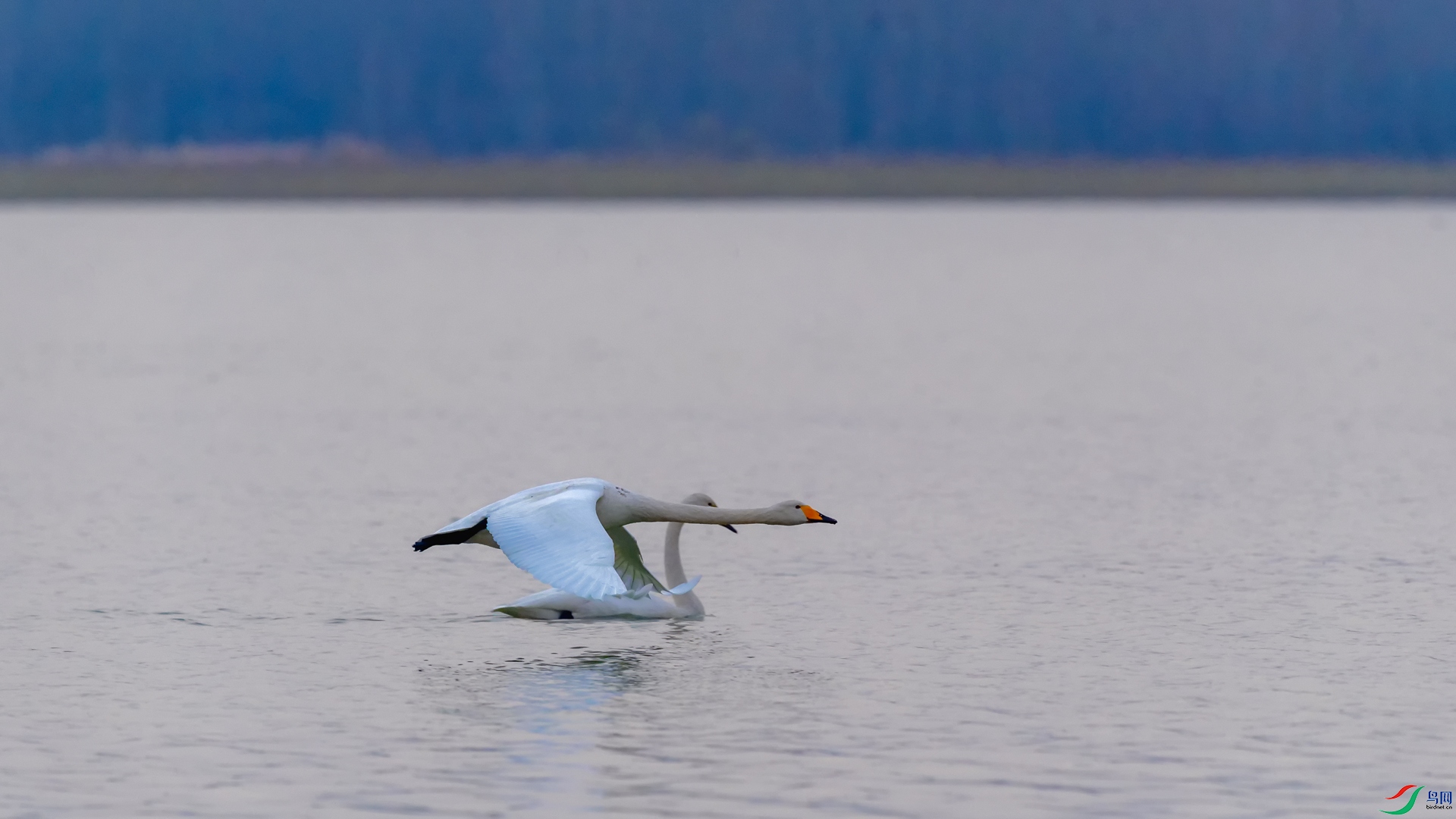 DSC_5464_DxOa.jpg