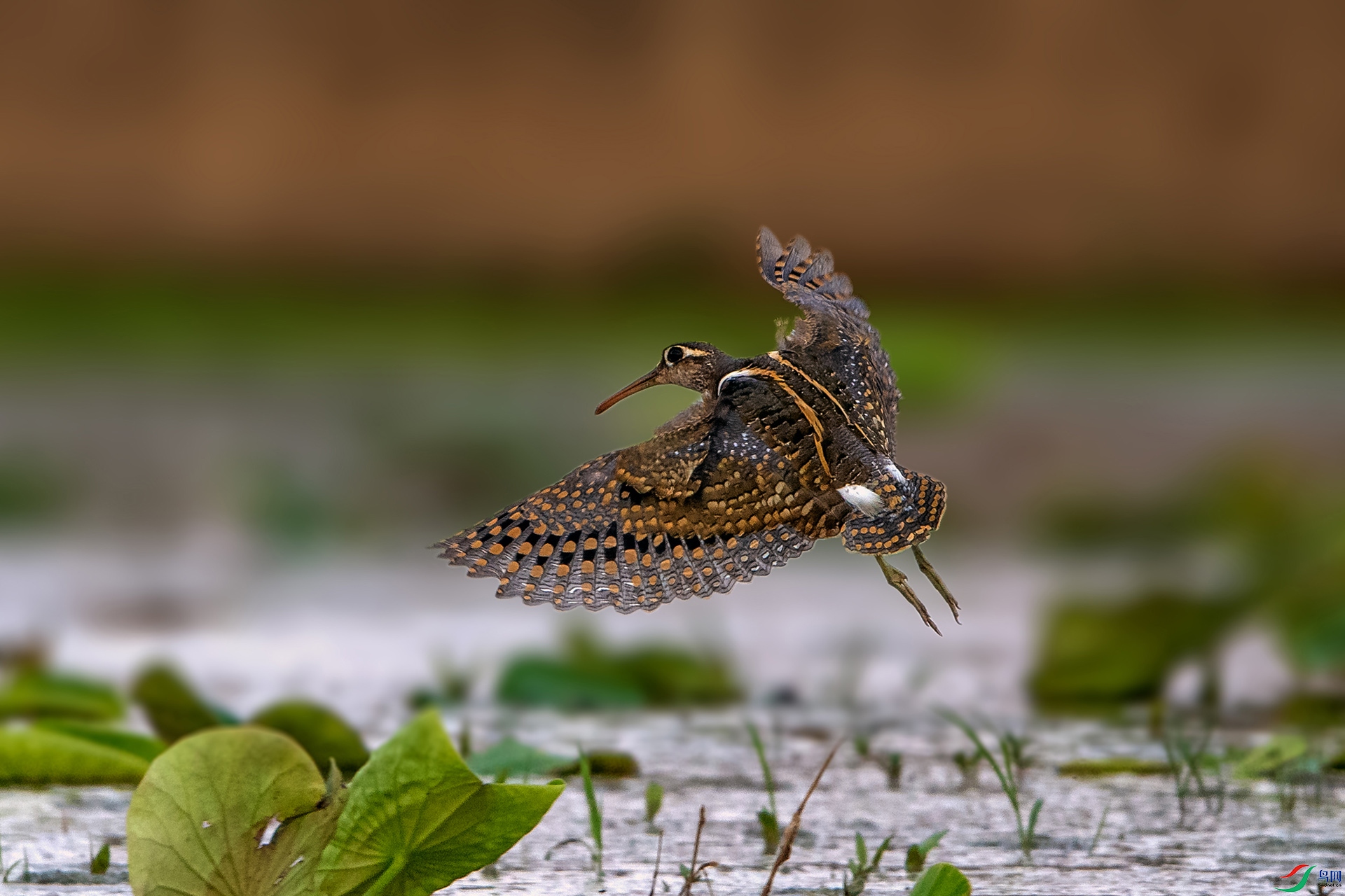 _AUU3567���(24.5.7).jpg