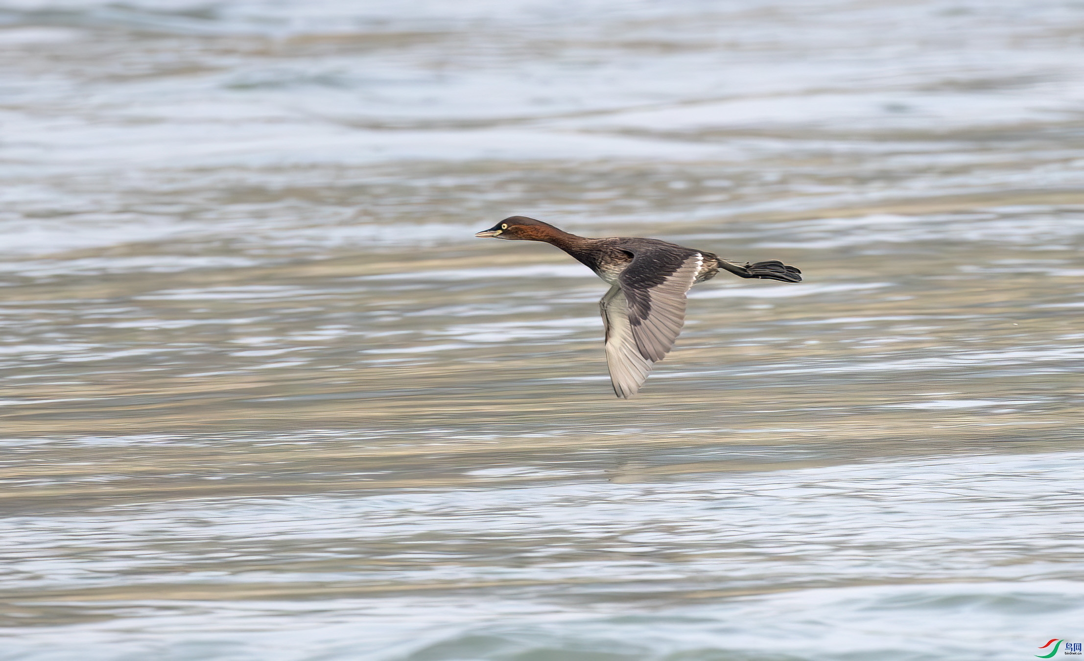 G47A4791-����ǿ-NR ����.jpg