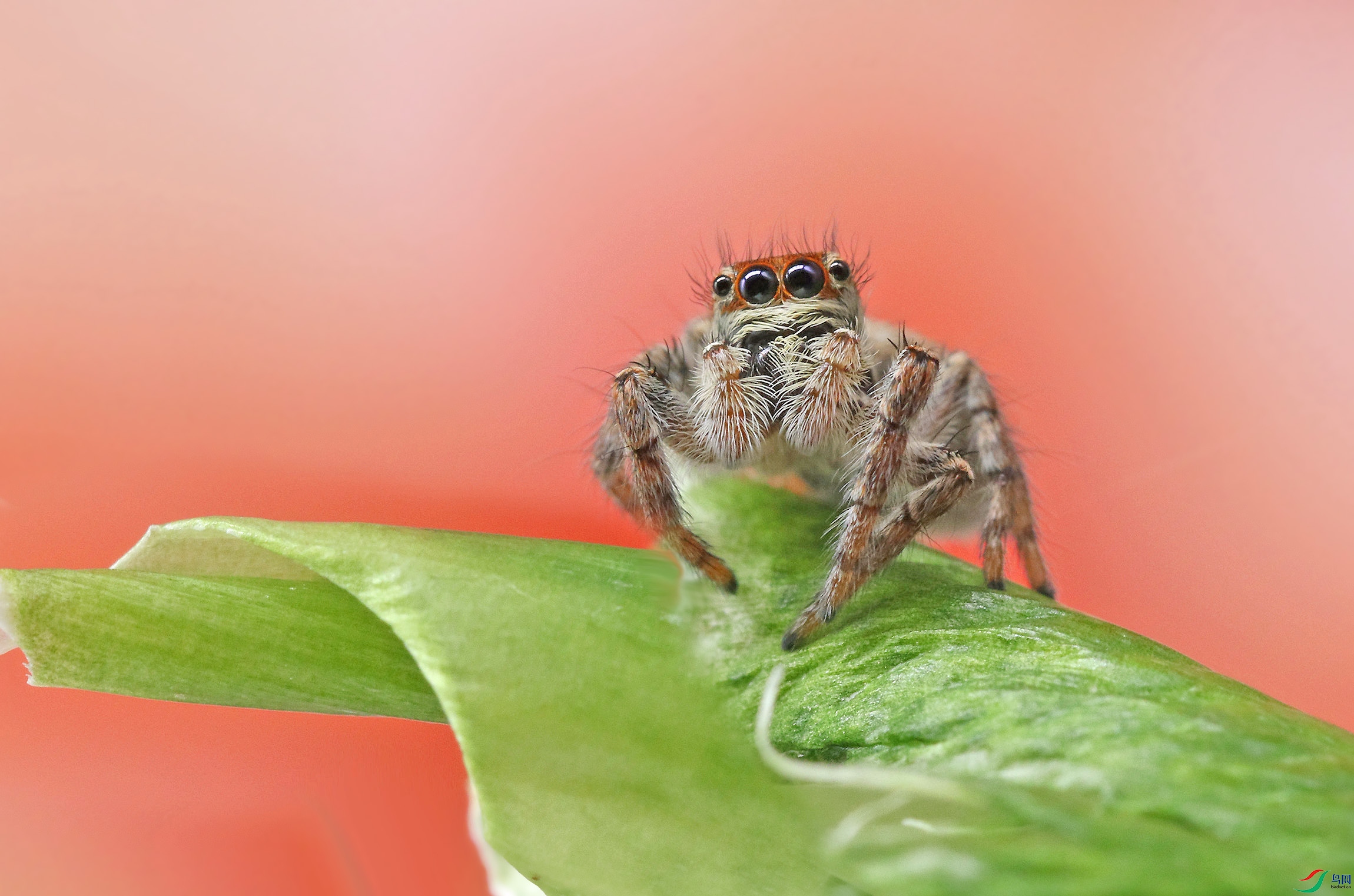 0N2A3721 ����.jpg