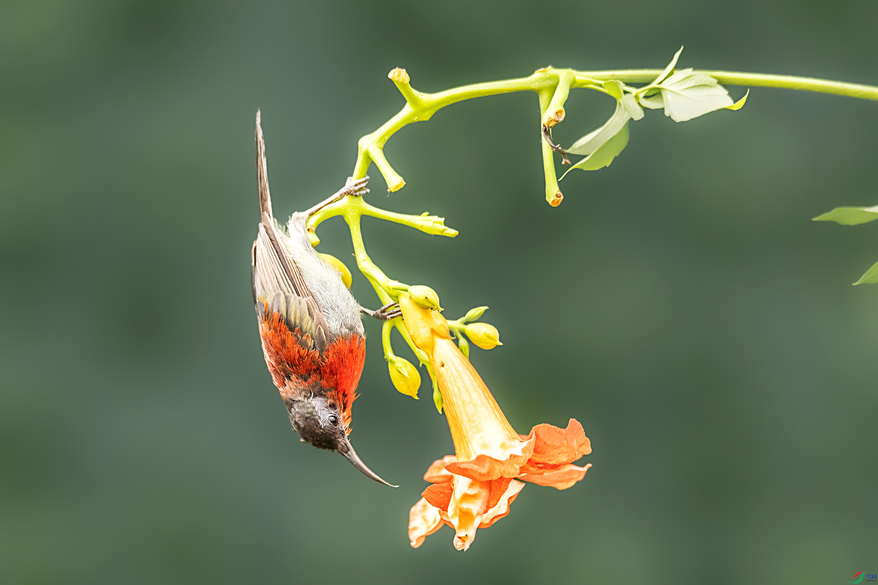 278A0151.jpg