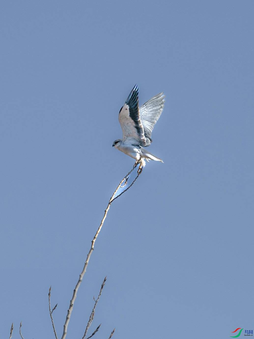 673A1156 ����.jpg