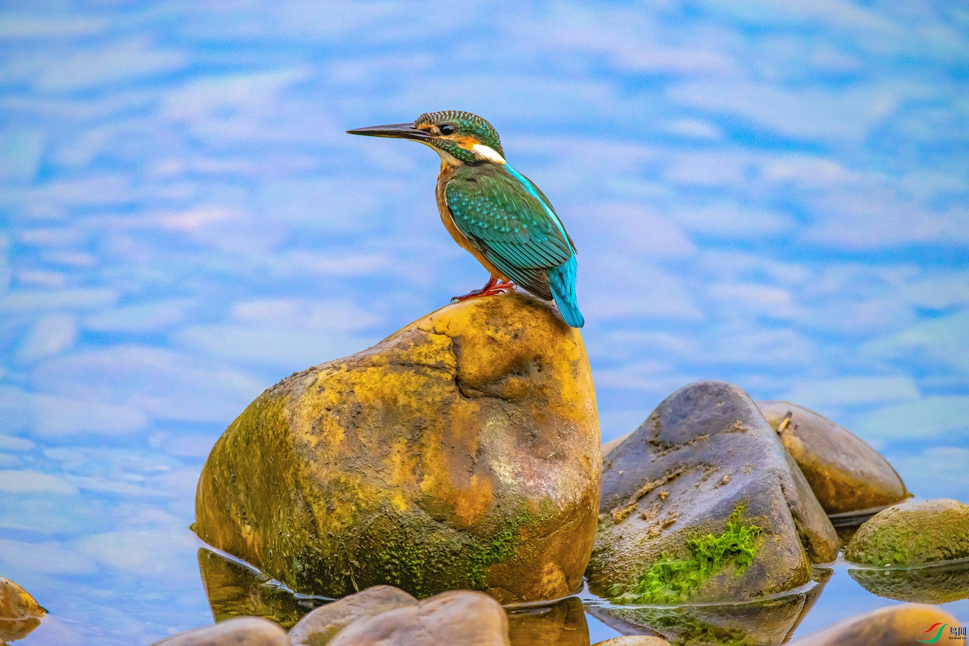 DSC_4520_��ͼ�� ����.jpg