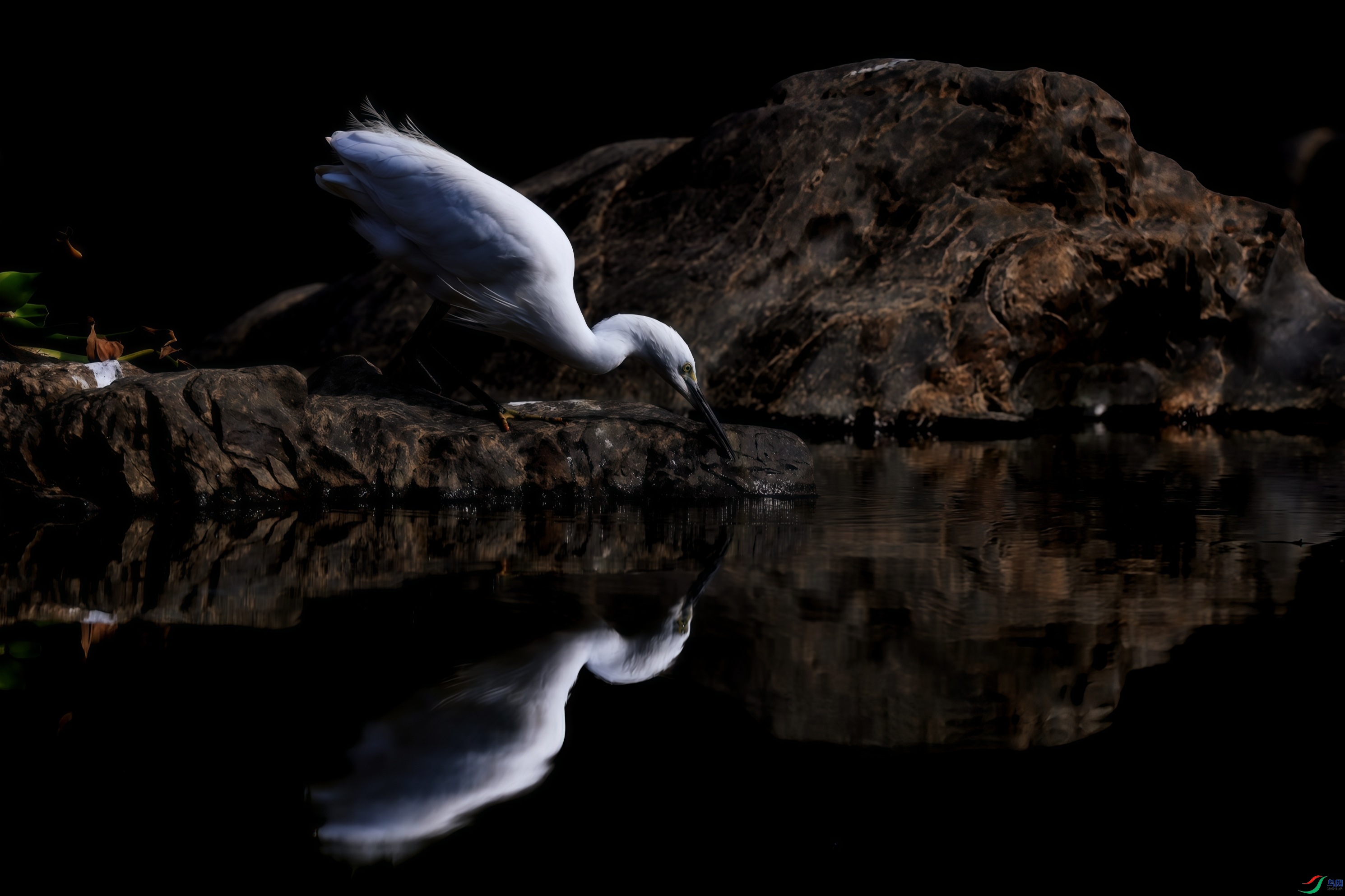 ׼������