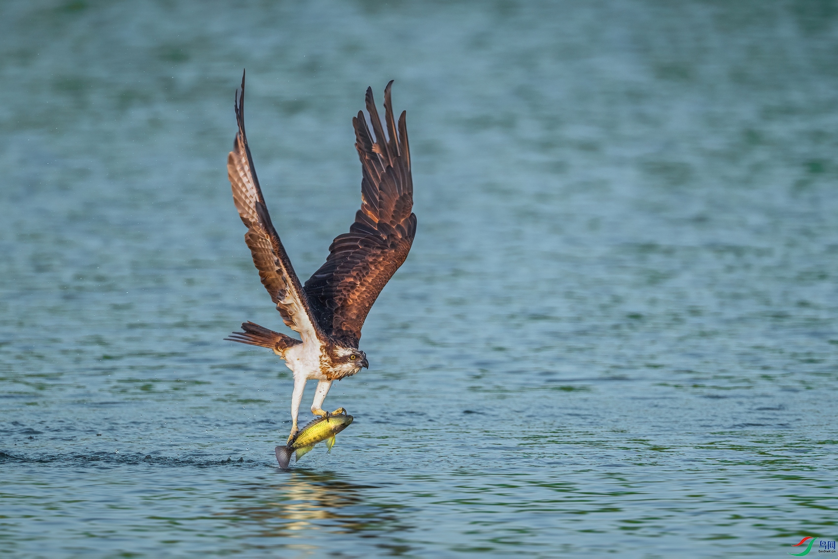 DSC_0327 ���� 201.jpg