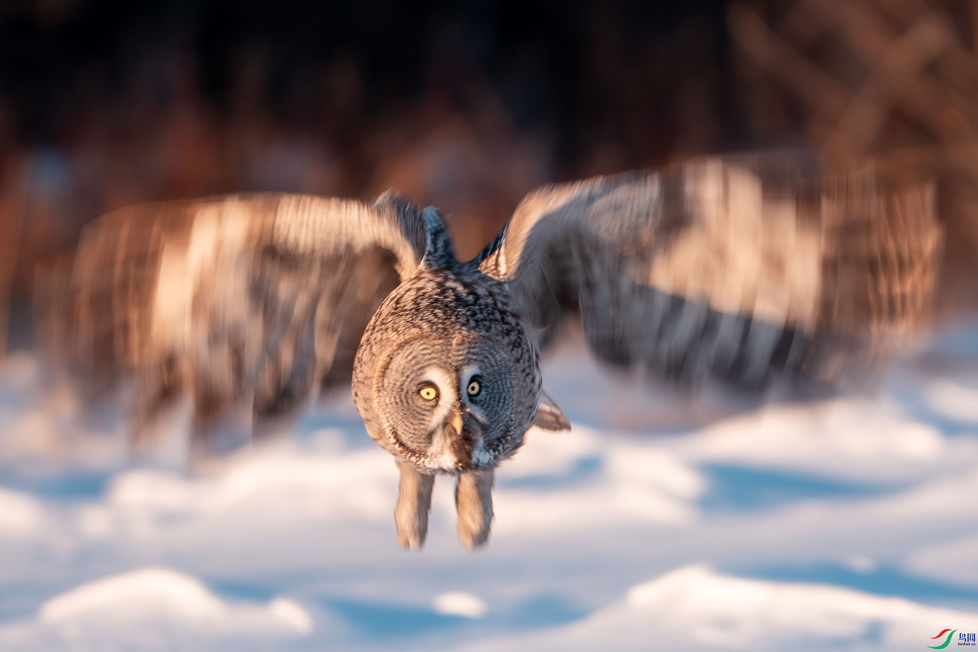 _DSC3721 ����.jpg