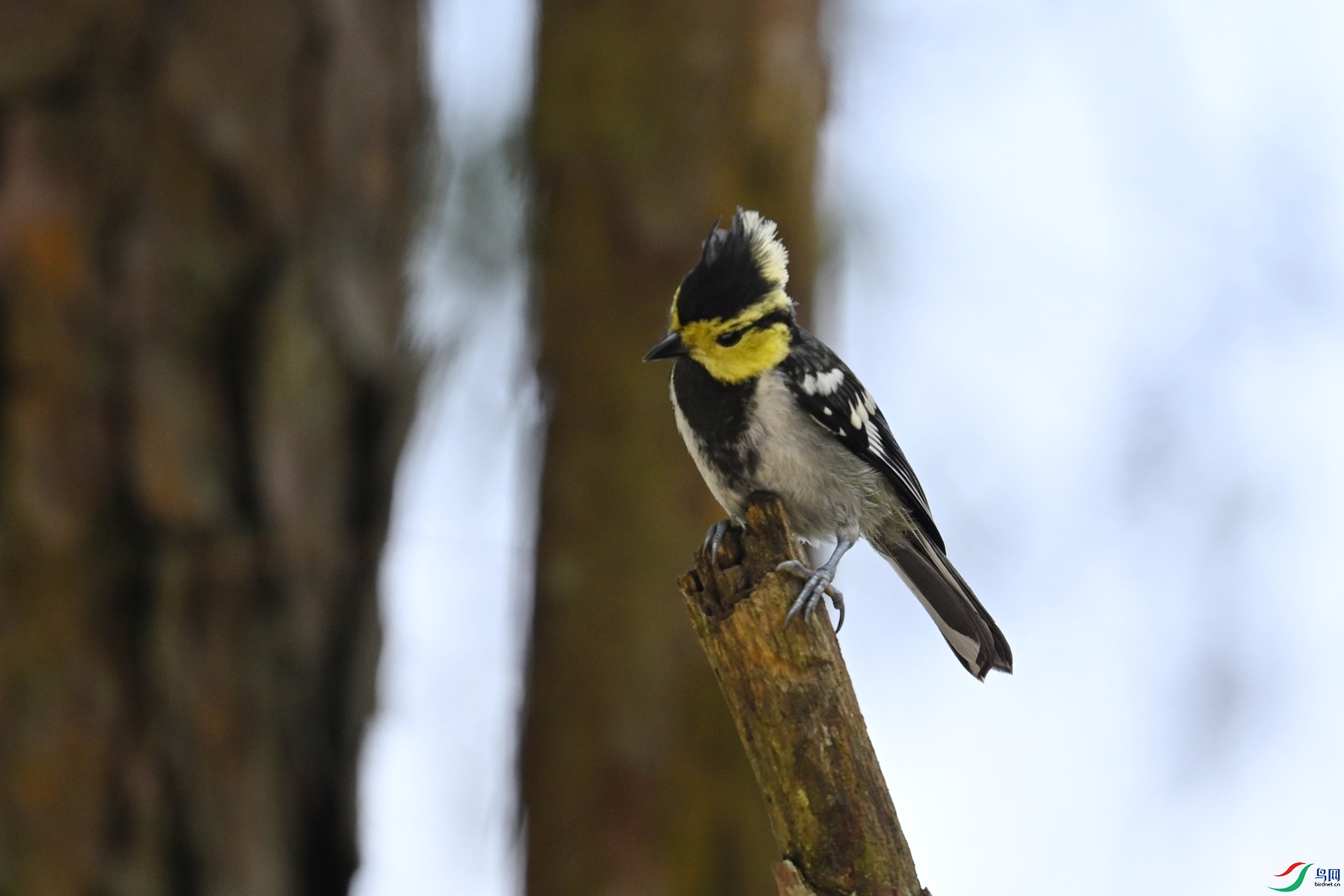 DSC_0071.JPG