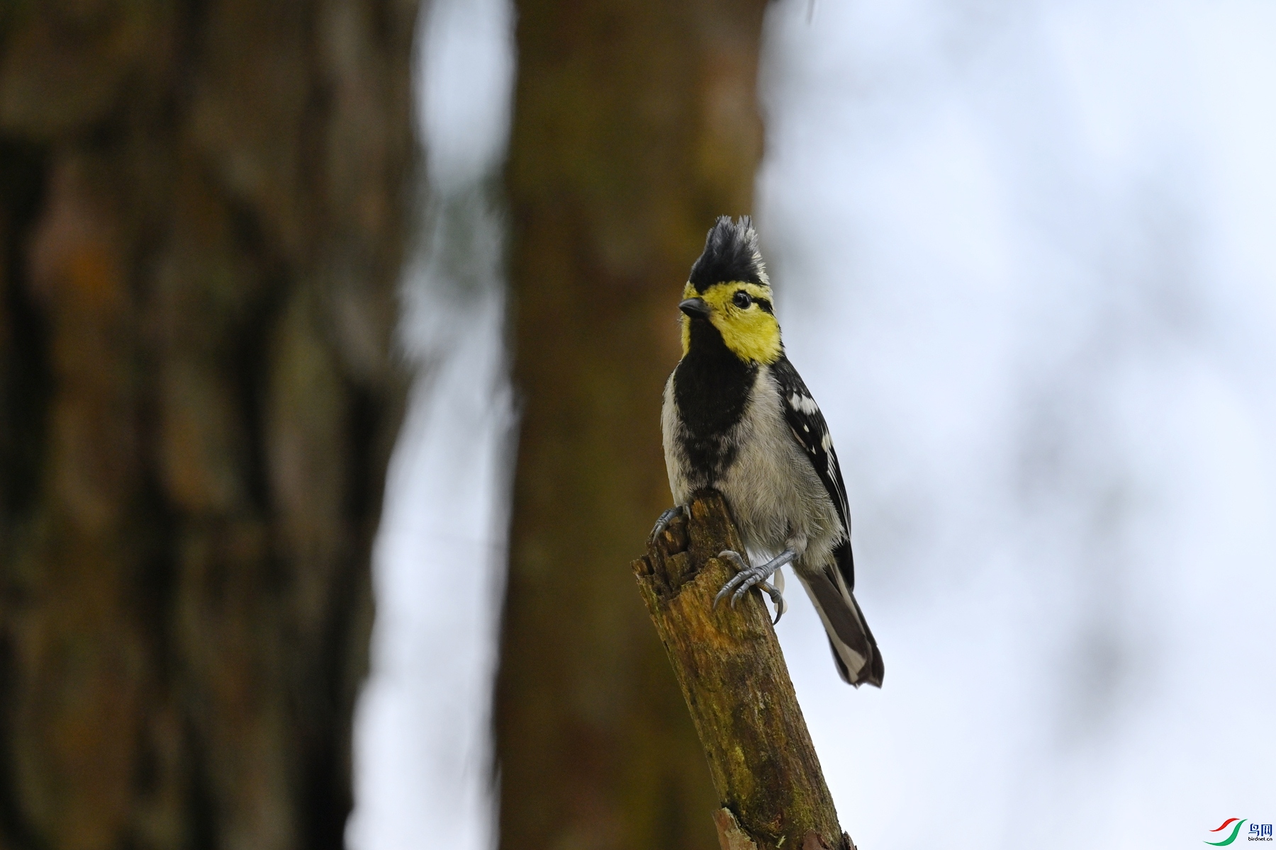 DSC_0073.JPG