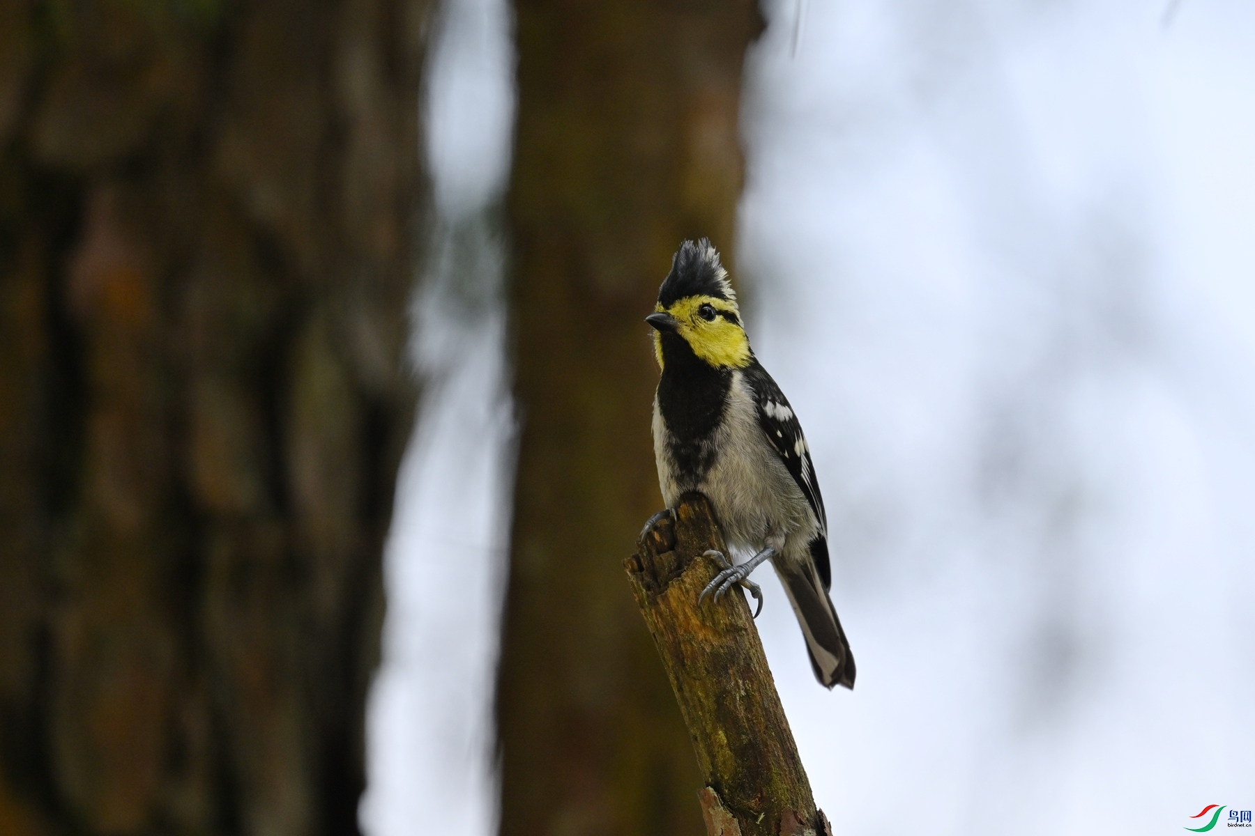 DSC_0075.JPG