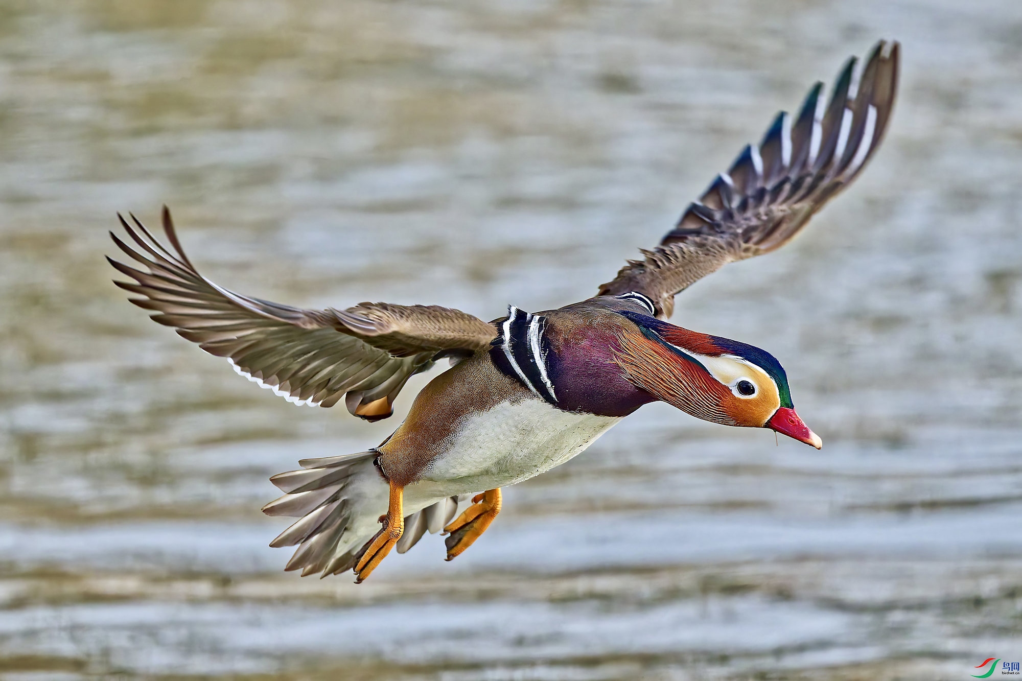 DSC_5317_DXO_DXO.jpg