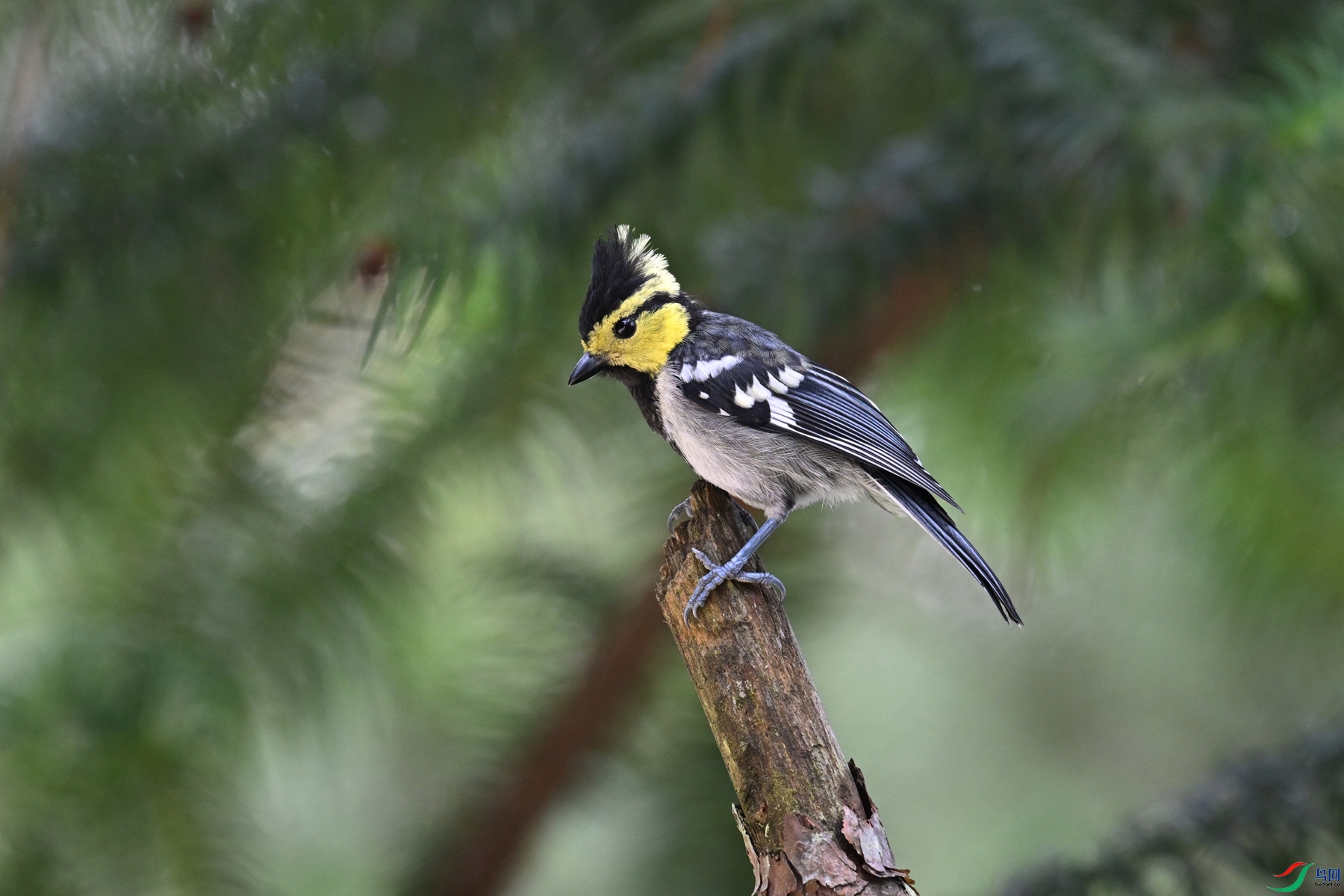 DSC_0097.JPG
