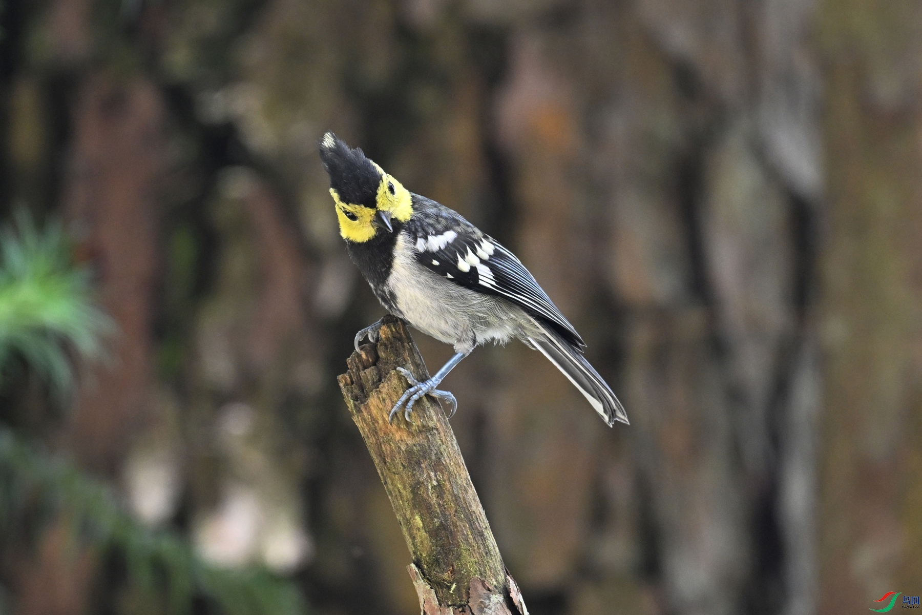 DSC_0079.JPG