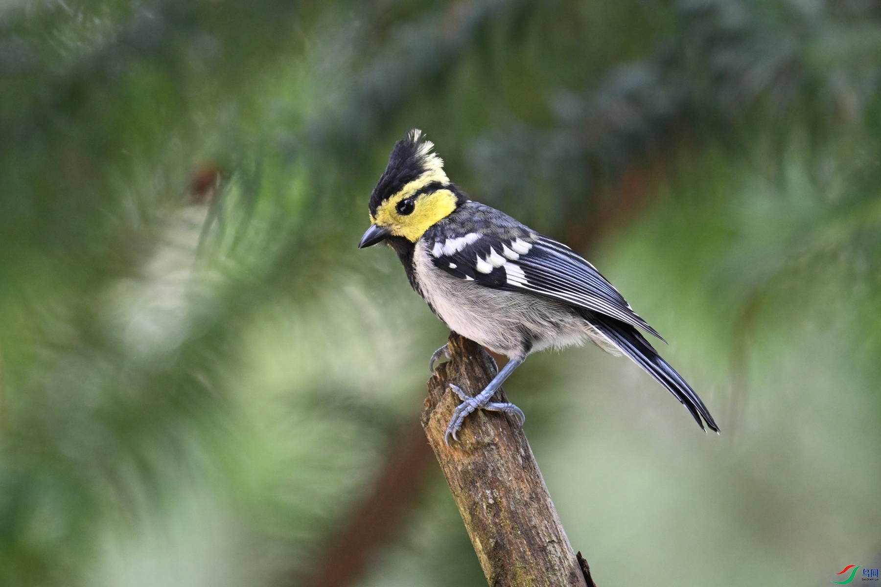 DSC_0086.JPG