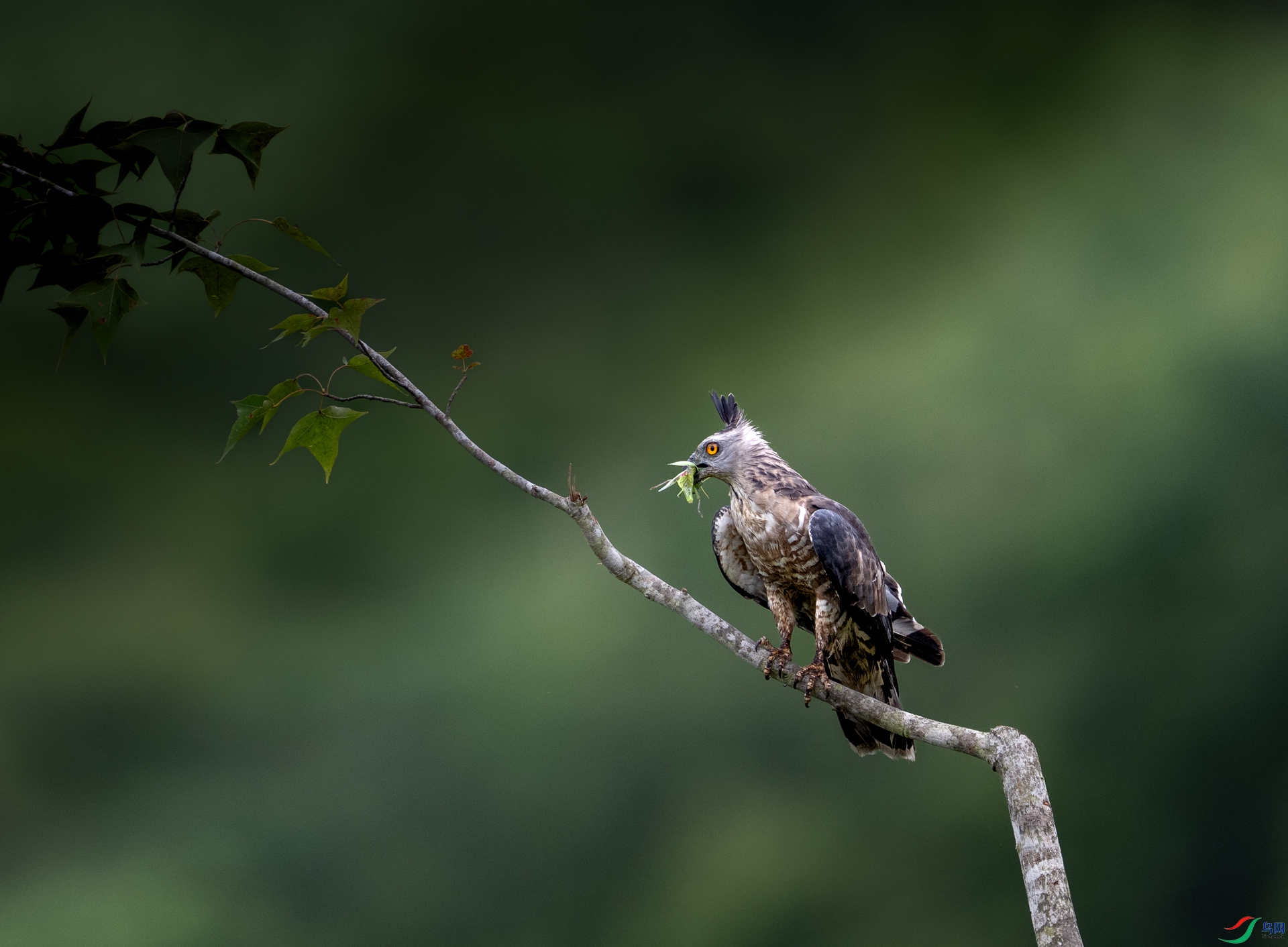 DSC_3903-1.jpg