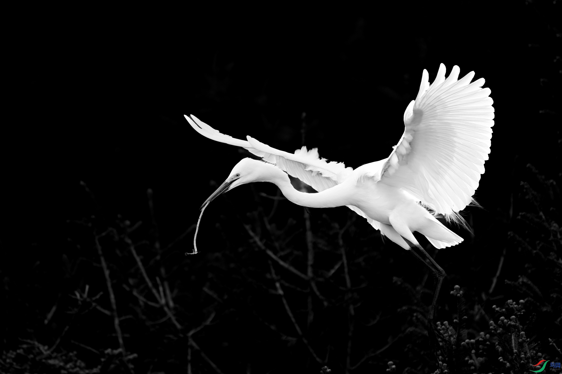 DSC06908 ����_����.jpg