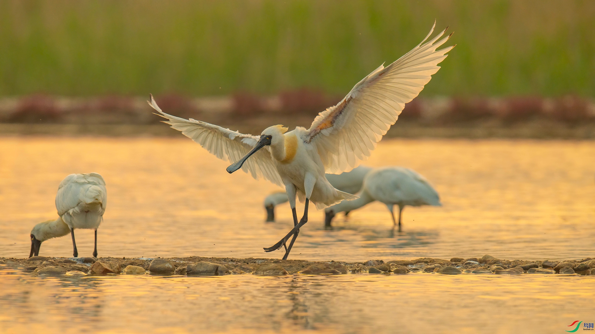 �������� (2).jpg