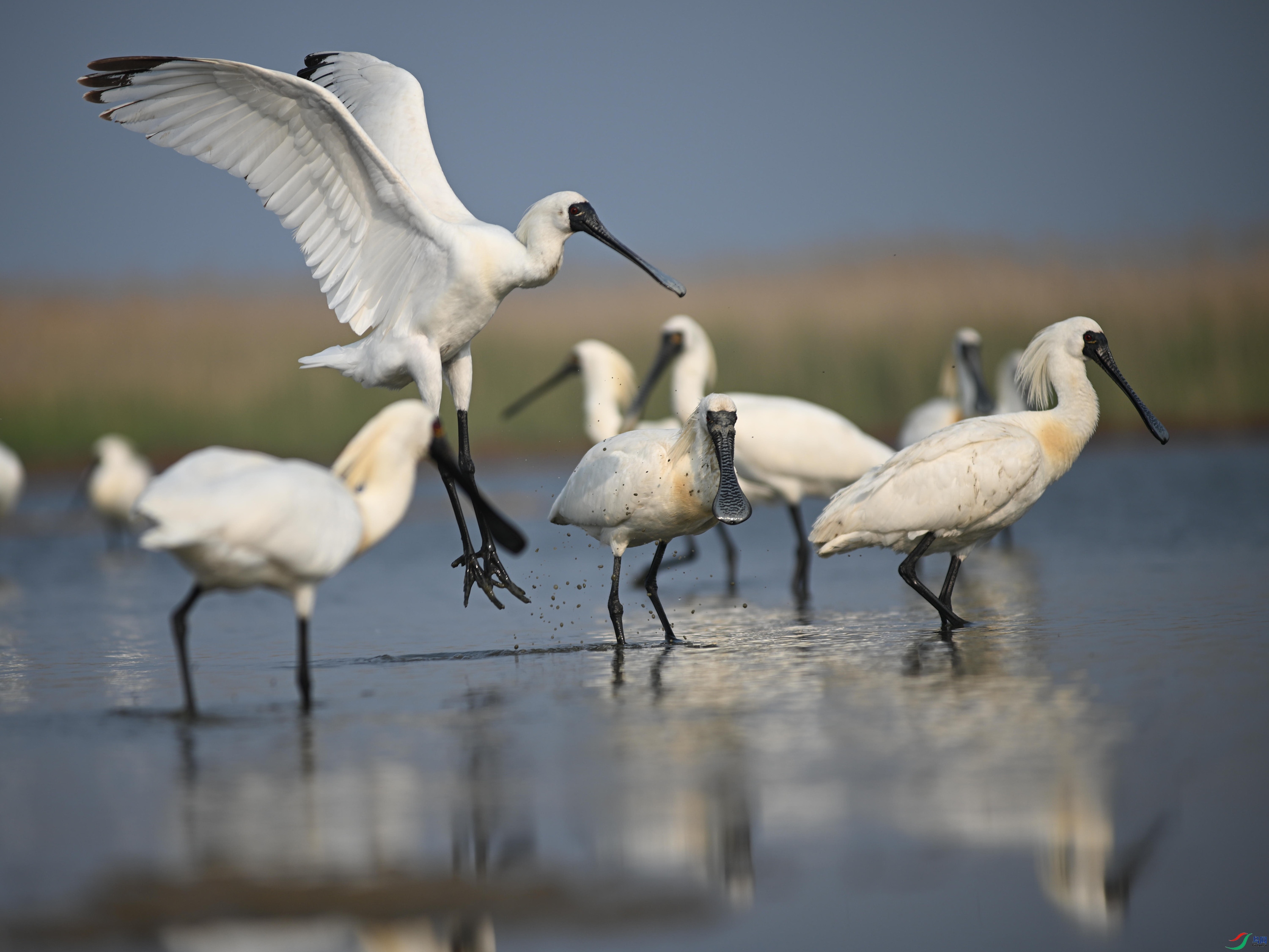 �������� (21).jpg