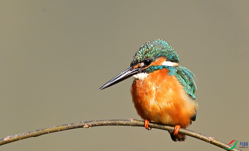 DSC_8633.JPG