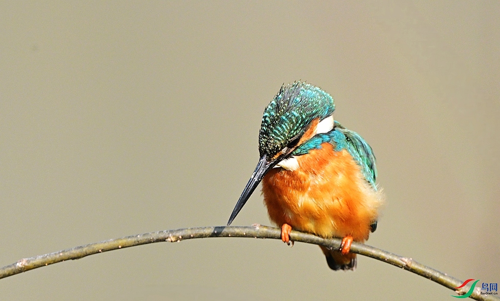 DSC_9127.JPG